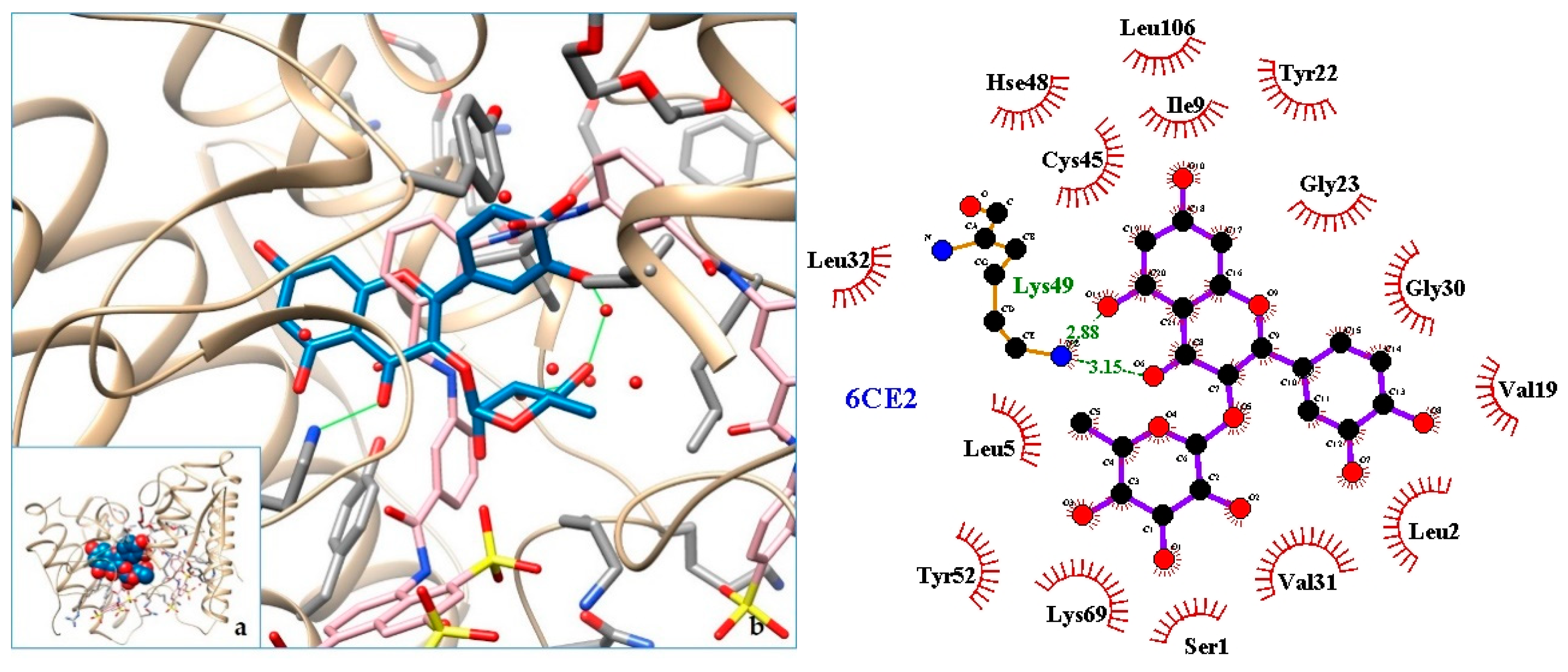 Molecules 24 04160 g007 Molecules 24 04160 g007