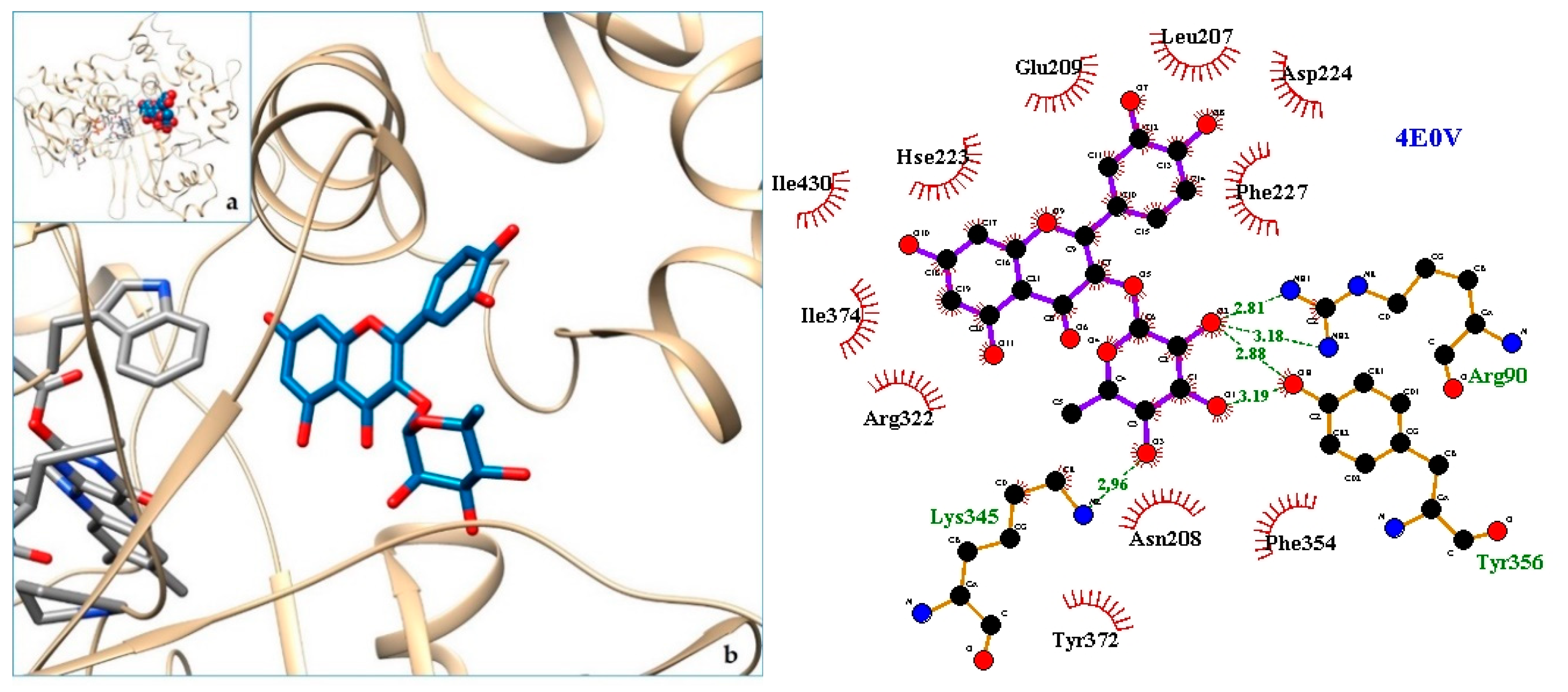Molecules 24 04160 g010 Molecules 24 04160 g010