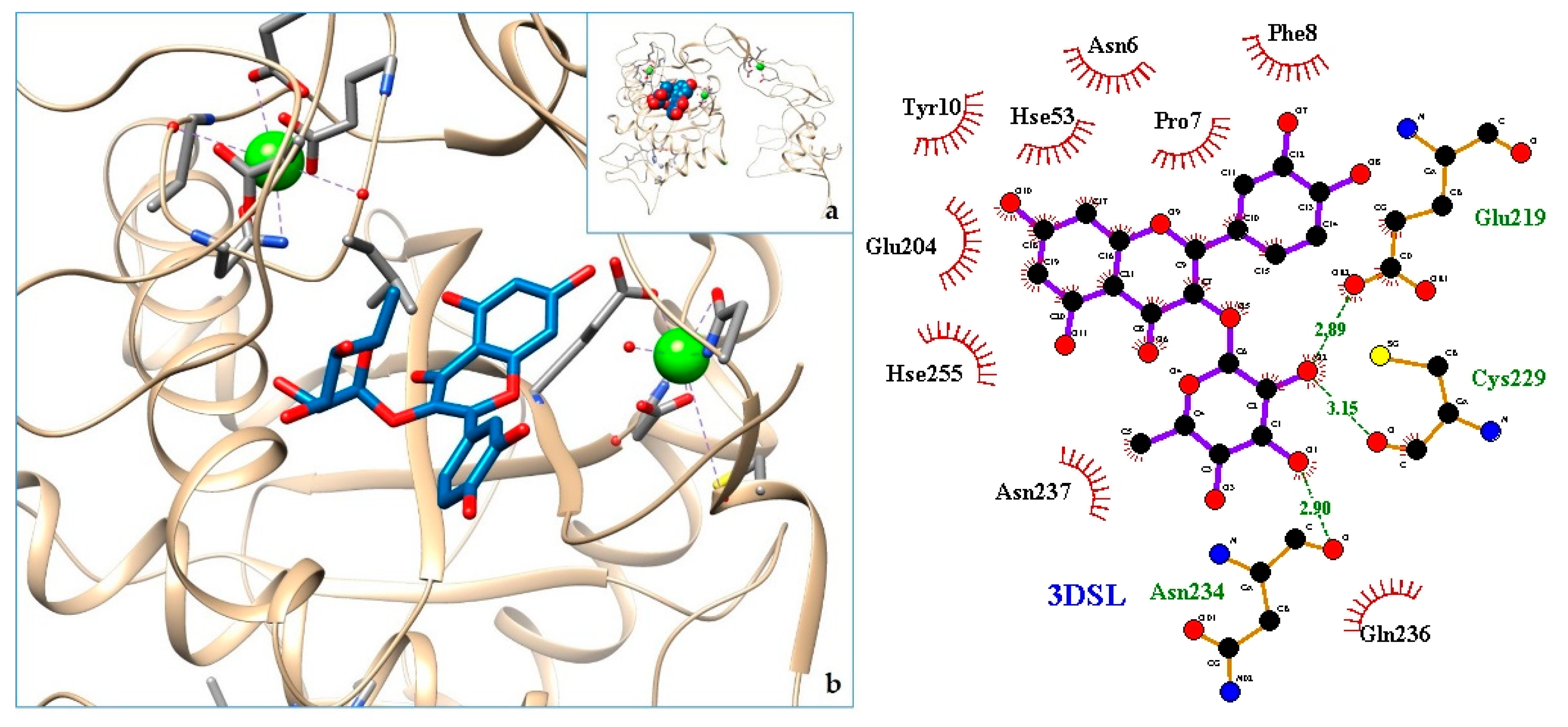 Molecules 24 04160 g014 Molecules 24 04160 g014