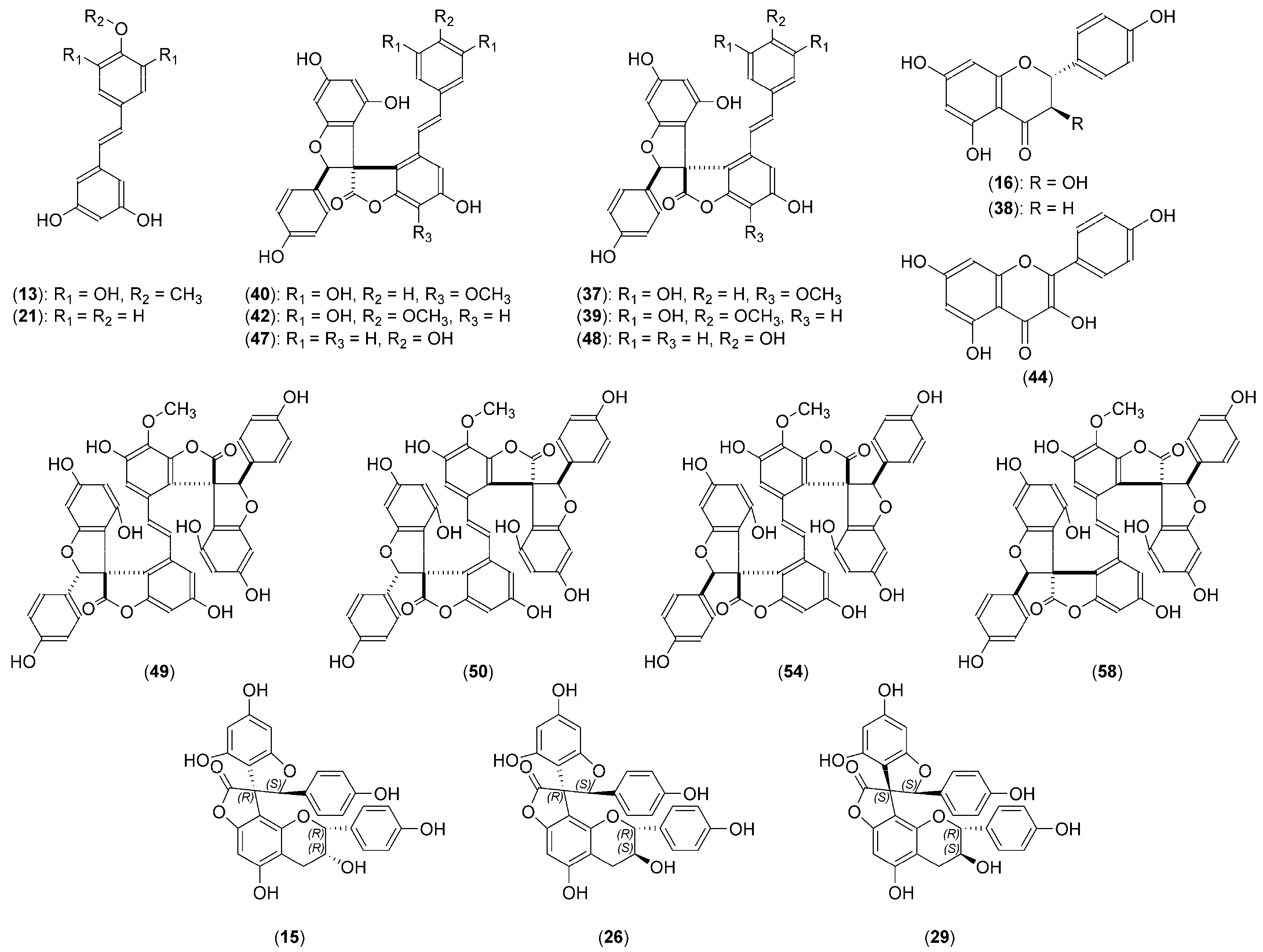 Molecules 24 04162 g002
