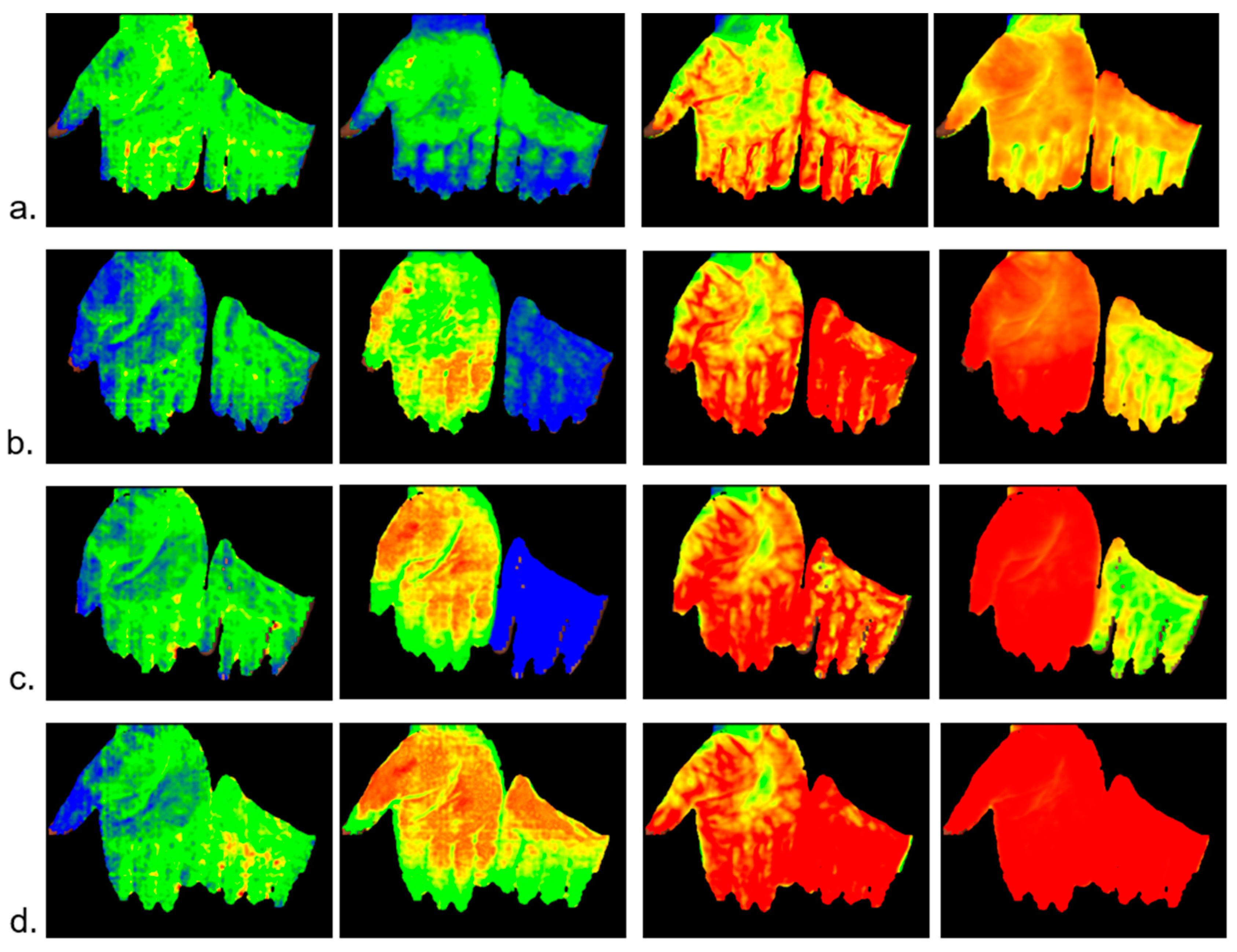 Molecules 24 04164 g002