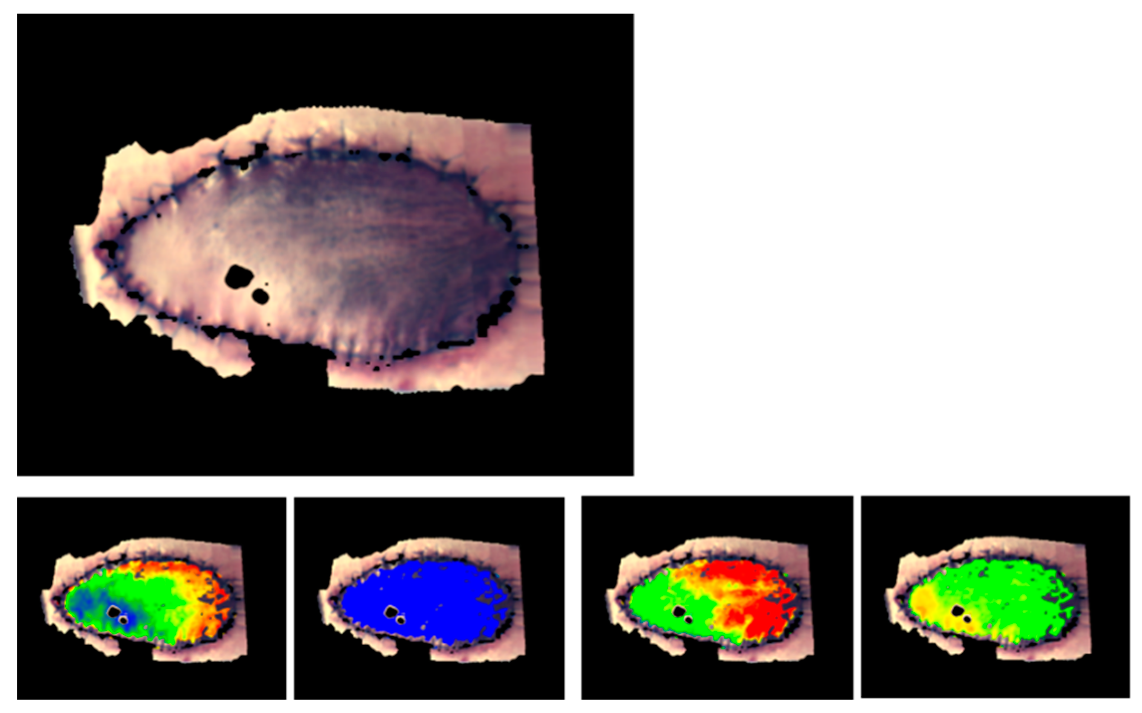 Molecules 24 04164 g004