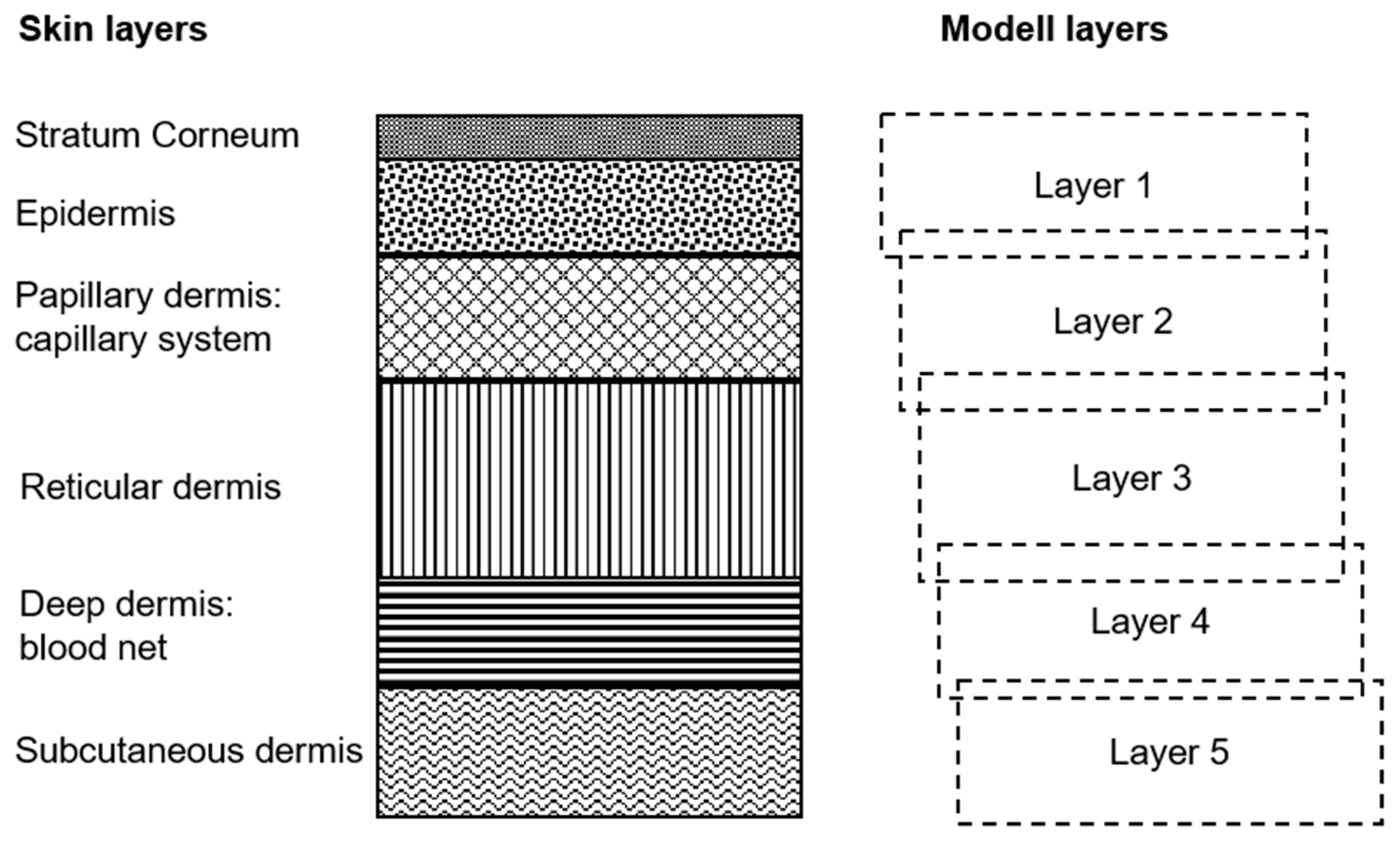 Molecules 24 04164 g008