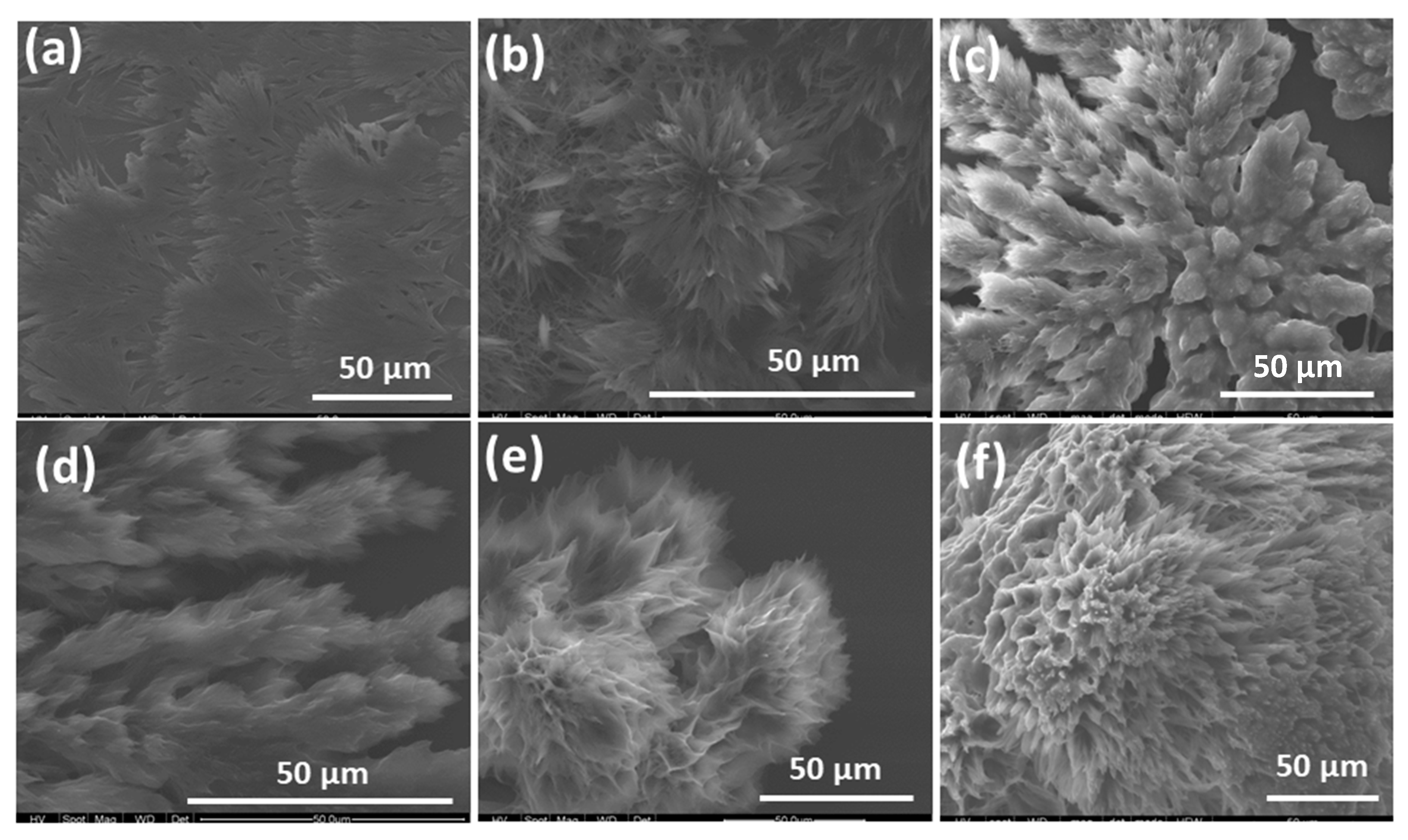 Molecules 24 04172 g003