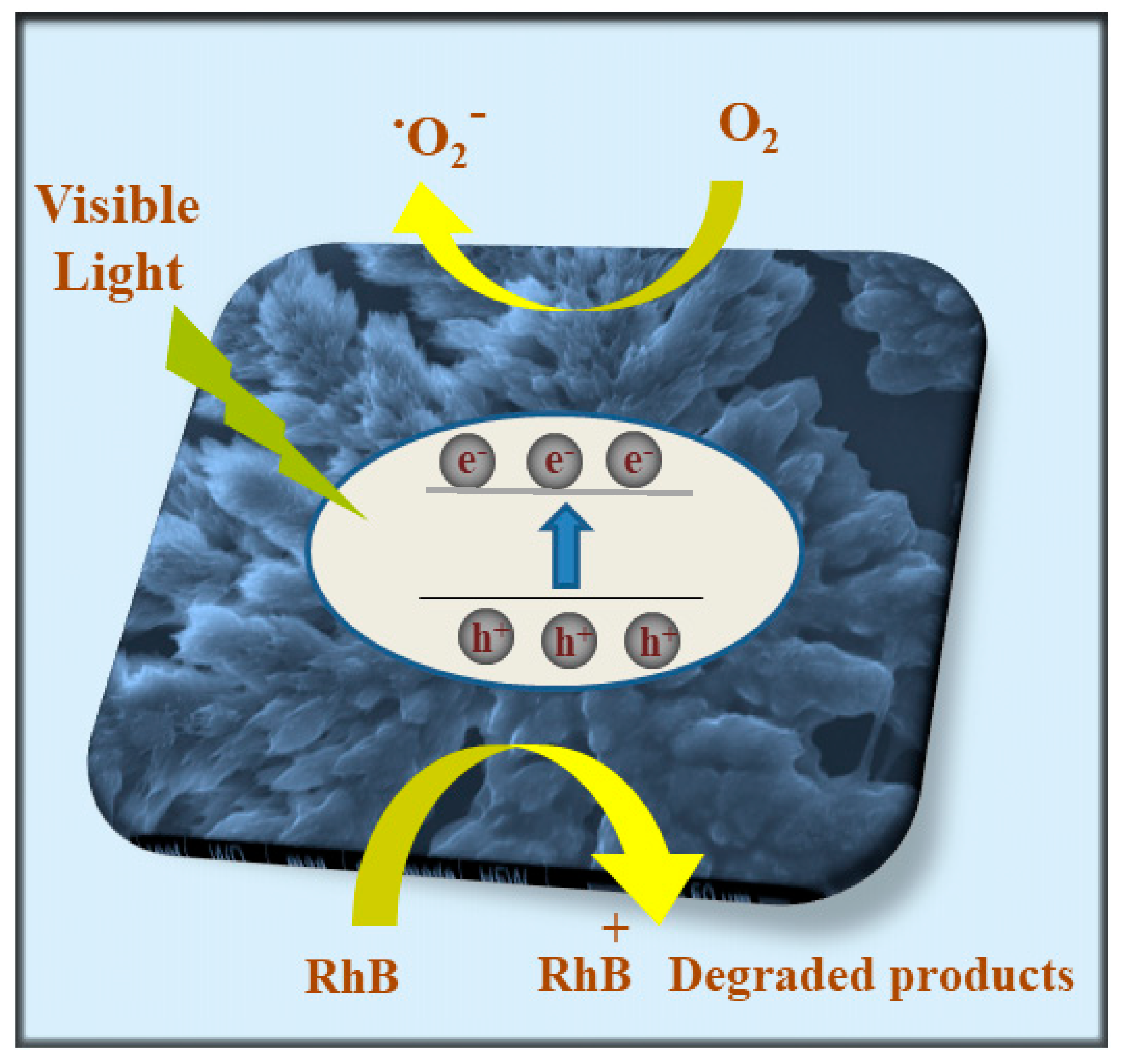 Molecules 24 04172 g007