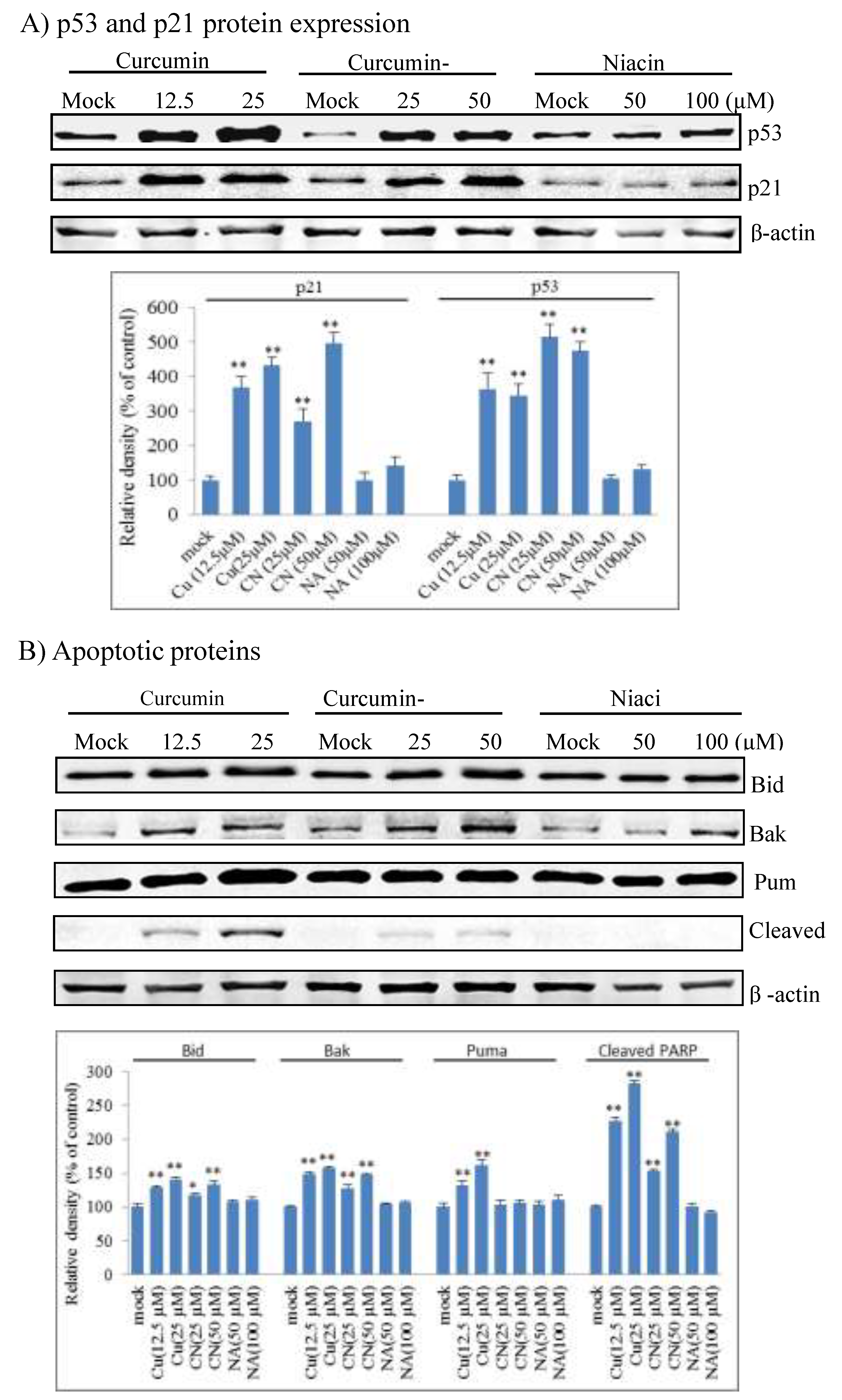Molecules 24 04179 g005