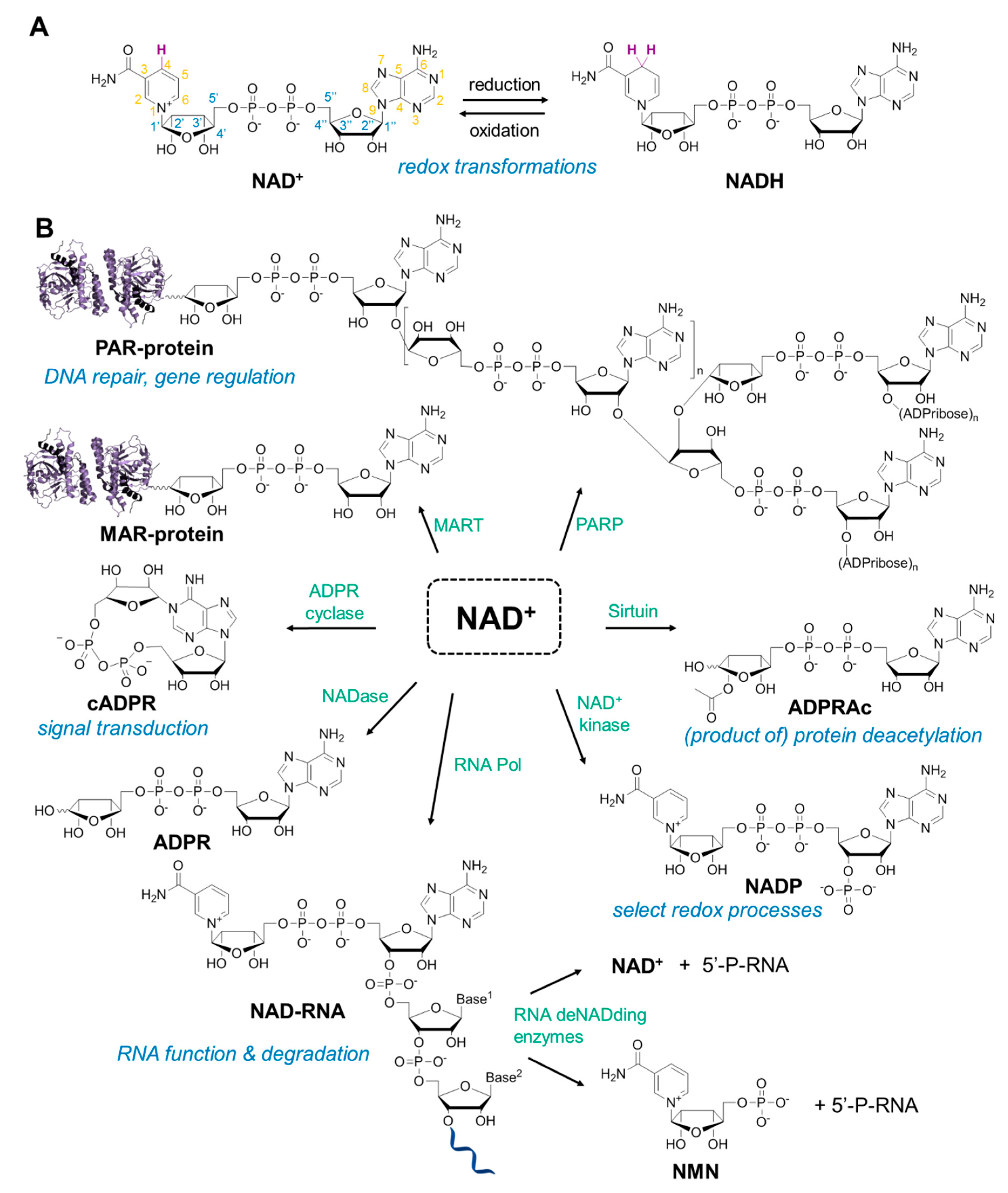 Molecules 24 04187 g001 Molecules 24 04187 g001