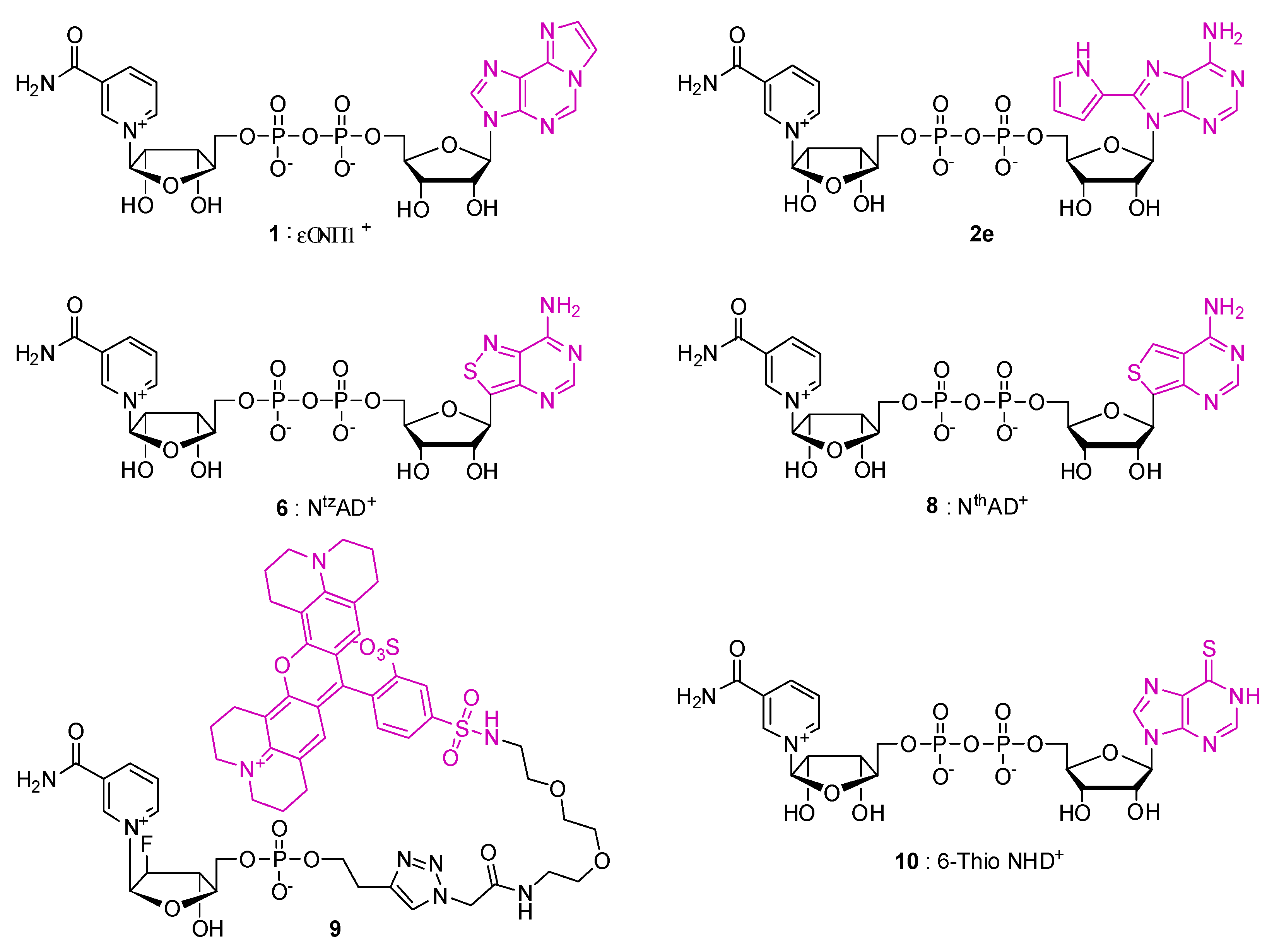 Molecules 24 04187 g002 Molecules 24 04187 g002