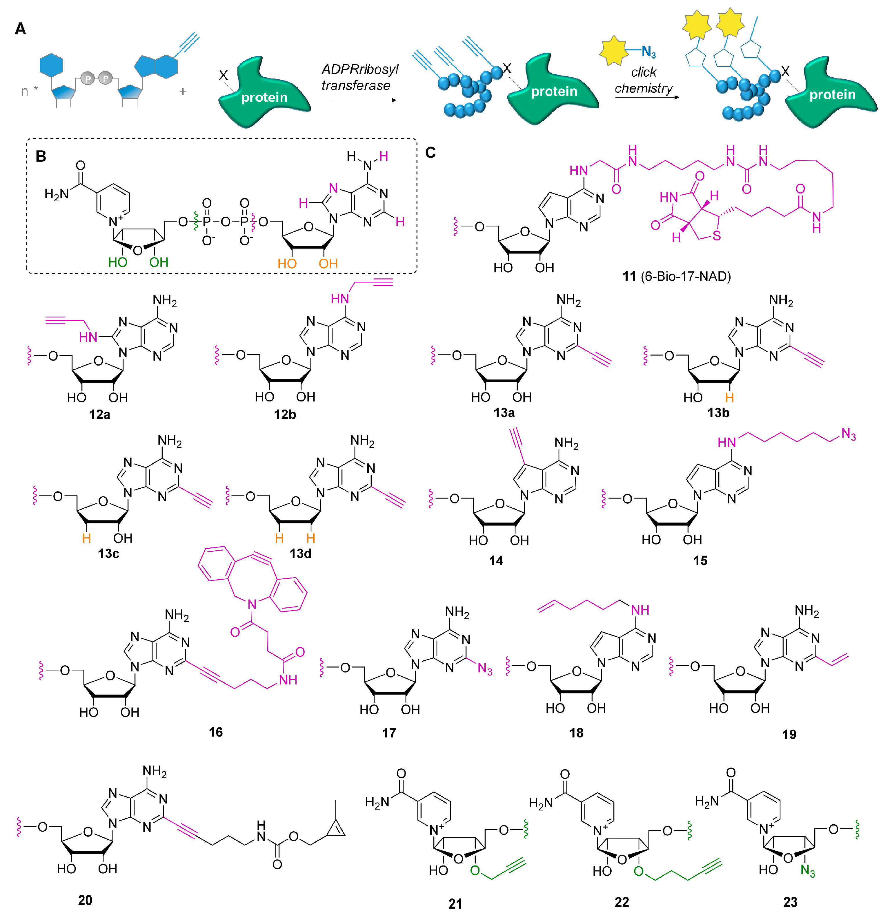 Molecules 24 04187 g003 Molecules 24 04187 g003