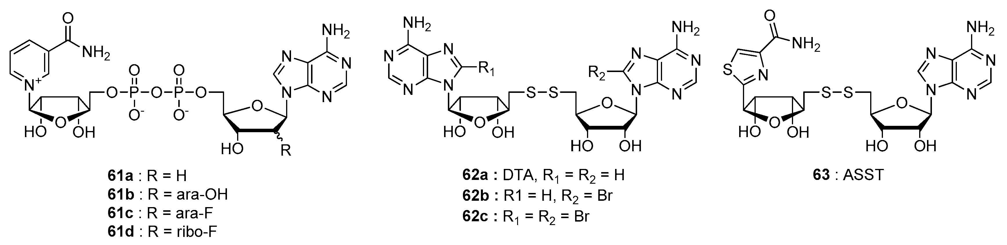 Molecules 24 04187 g013 Molecules 24 04187 g013
