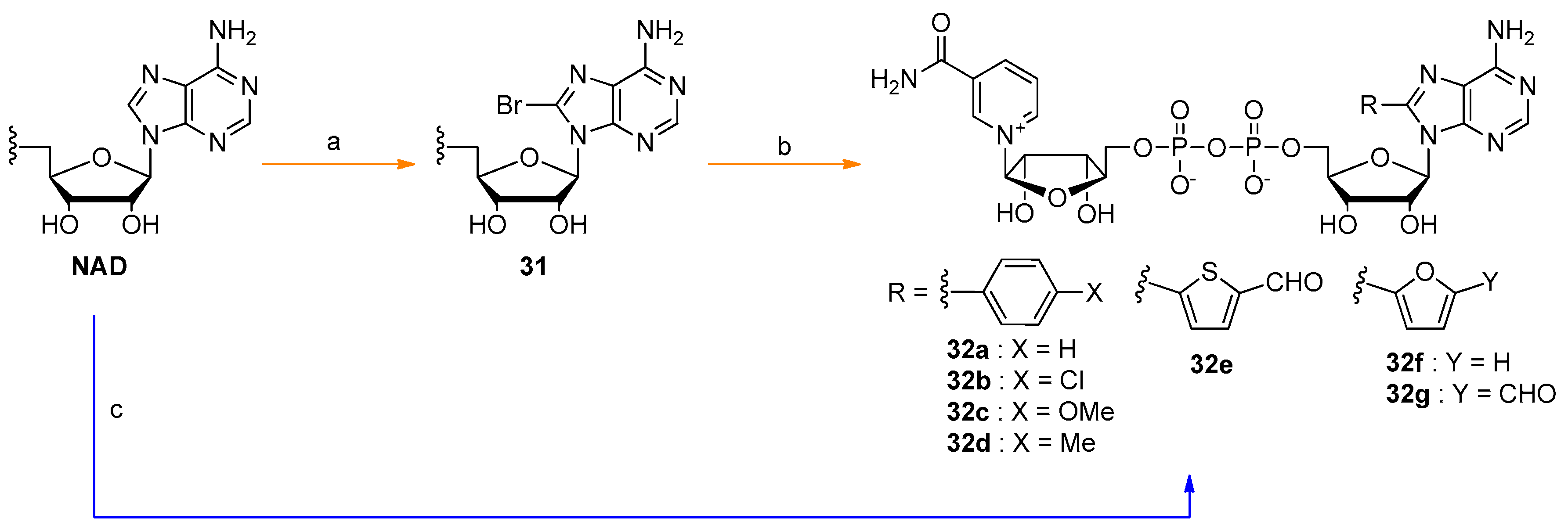 Molecules 24 04187 sch002 Molecules 24 04187 sch002