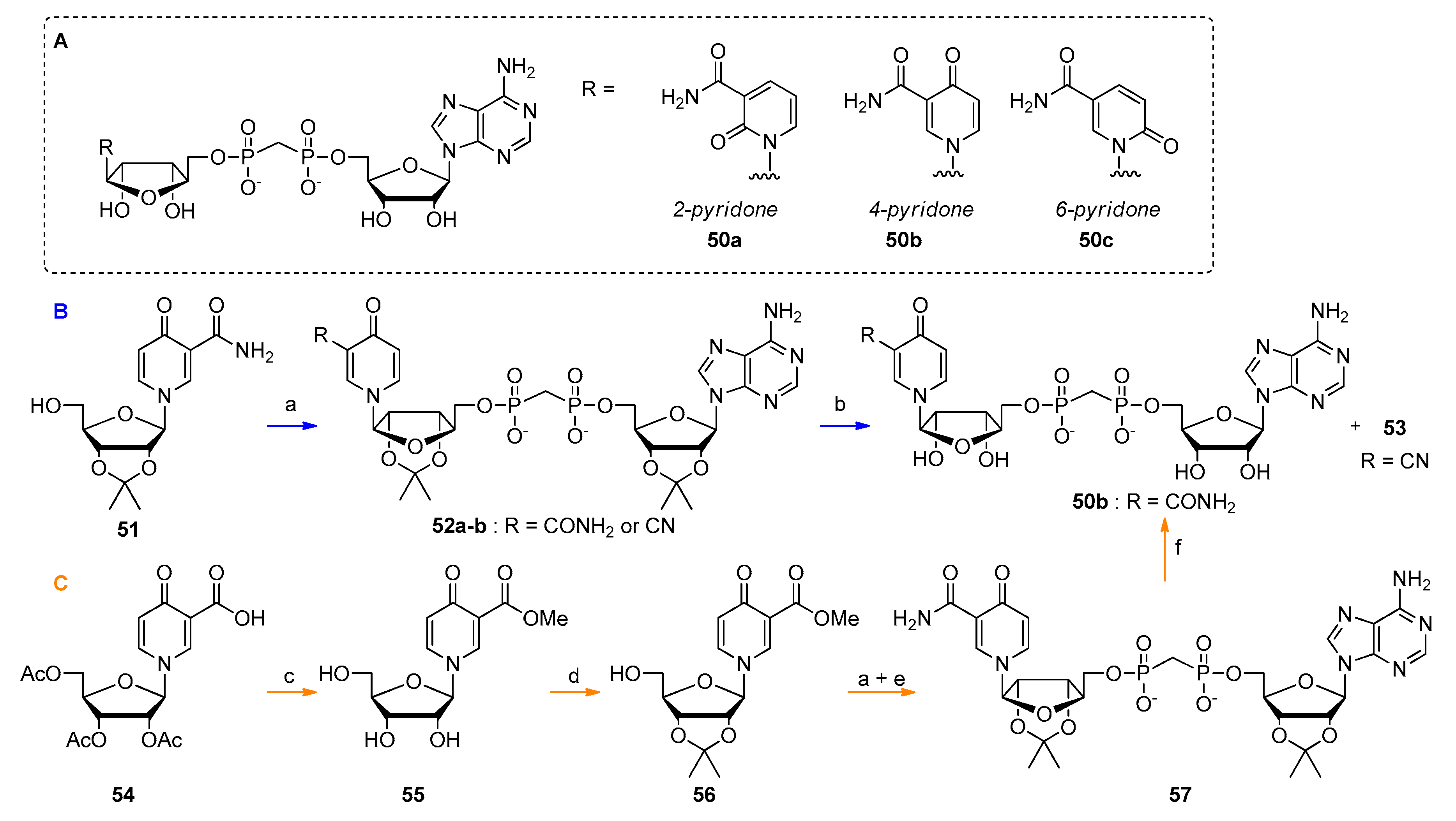 Molecules 24 04187 sch005 Molecules 24 04187 sch005