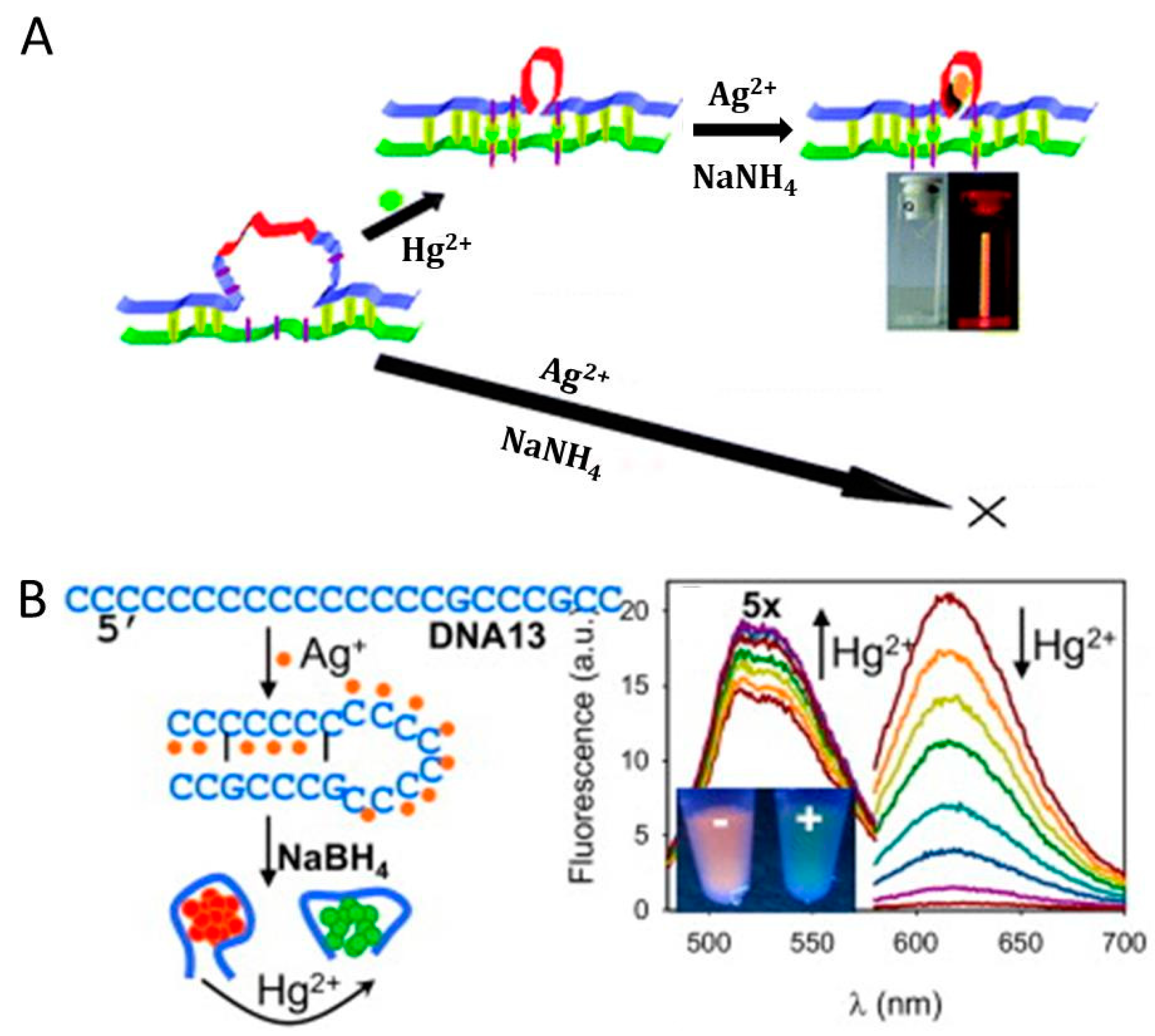Molecules 24 04189 g006 Molecules 24 04189 g006