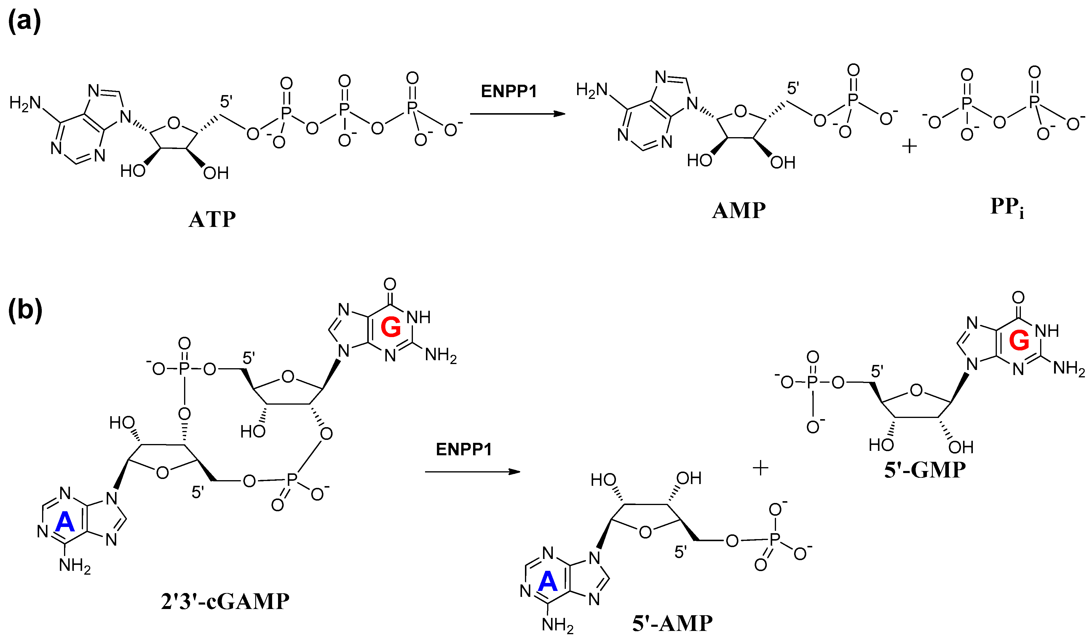 Molecules 24 04192 g003 Molecules 24 04192 g003