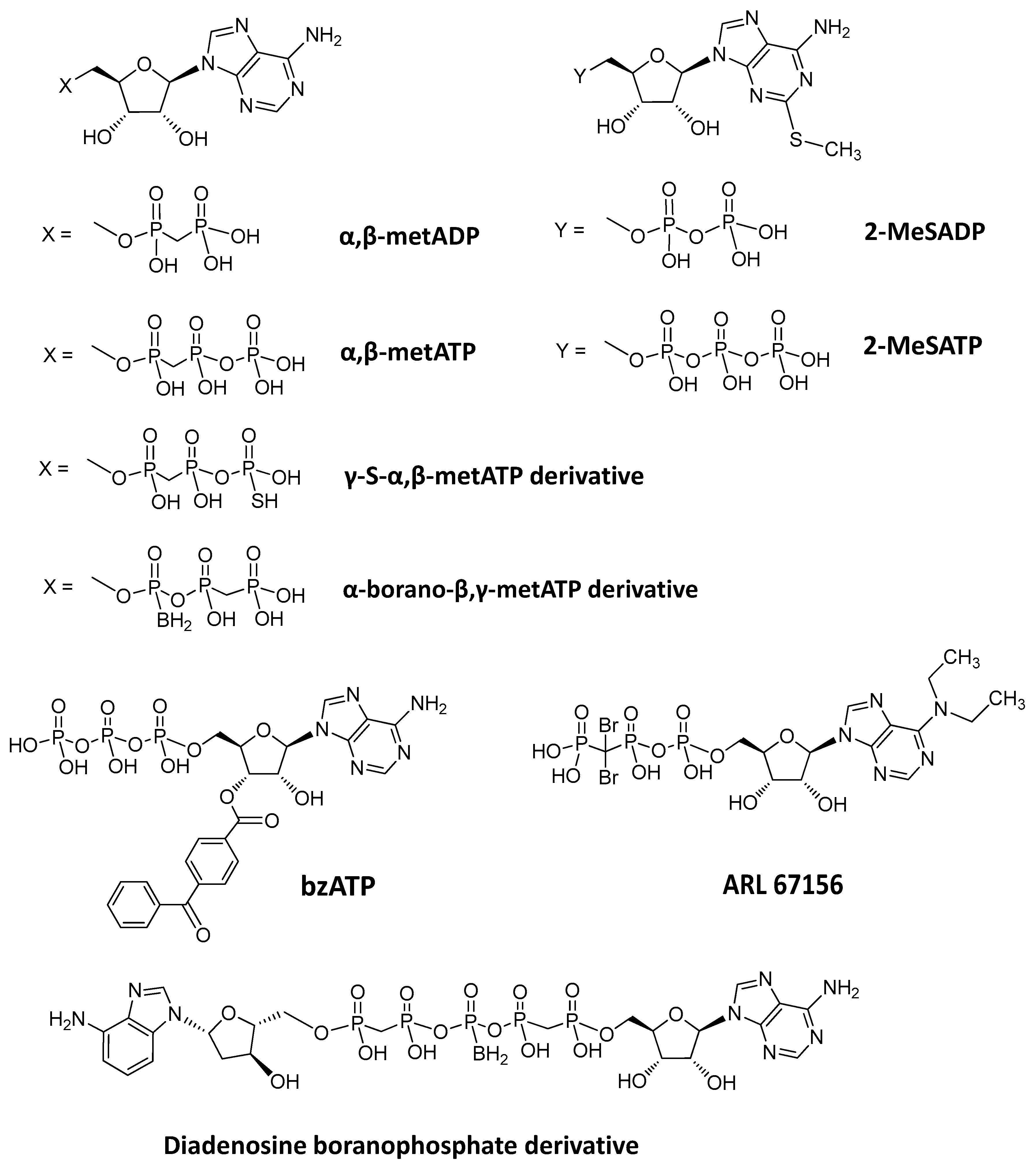 Molecules 24 04192 g008 Molecules 24 04192 g008