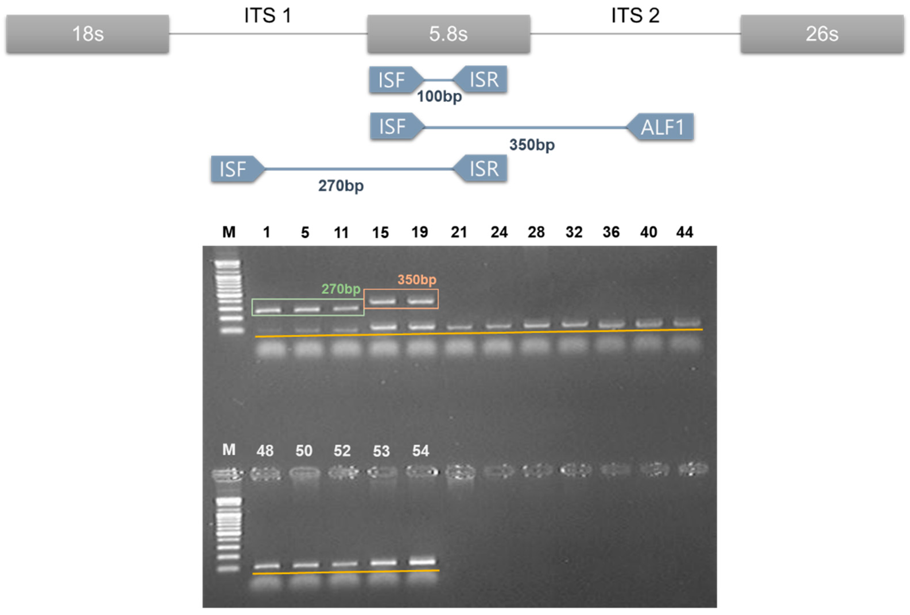 Molecules 24 04193 g003 Molecules 24 04193 g003