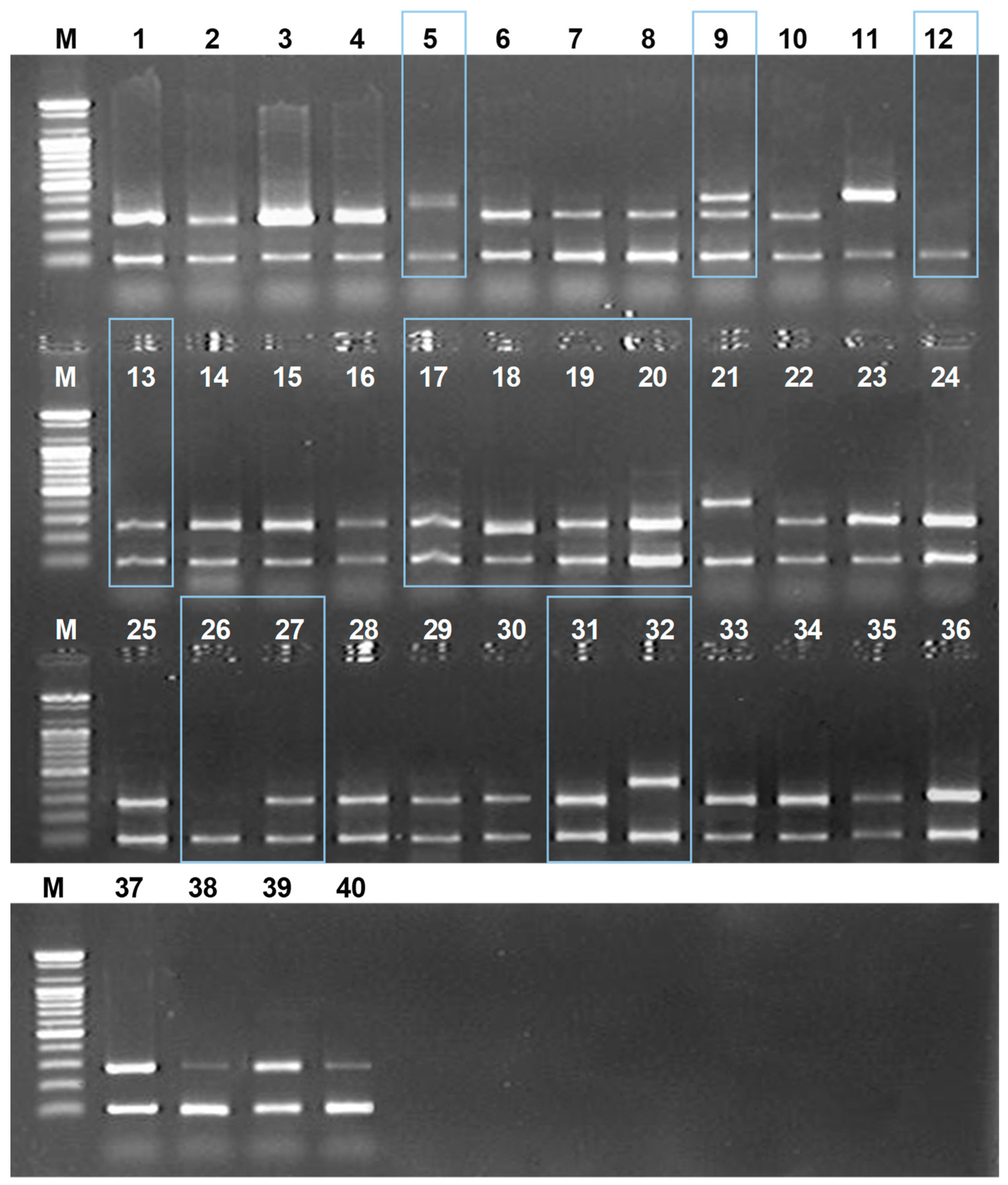 Molecules 24 04193 g004 Molecules 24 04193 g004