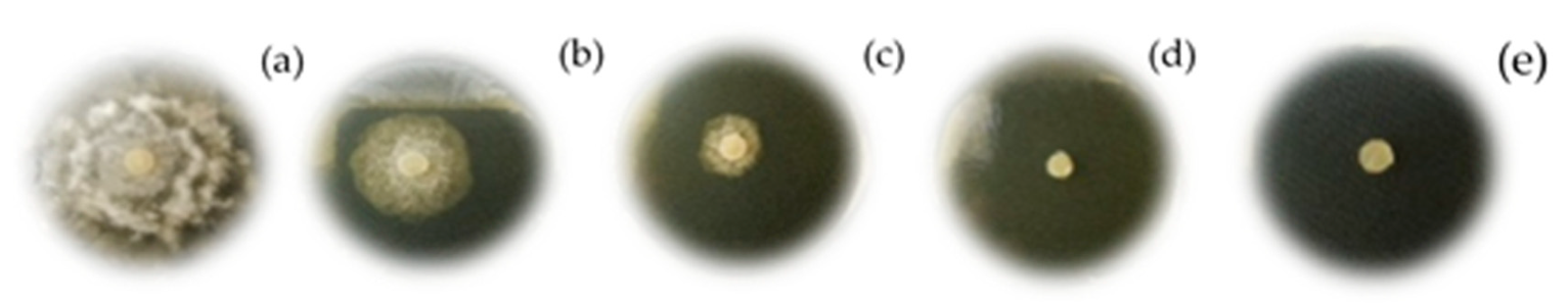 Molecules 24 04196 g002 Molecules 24 04196 g002