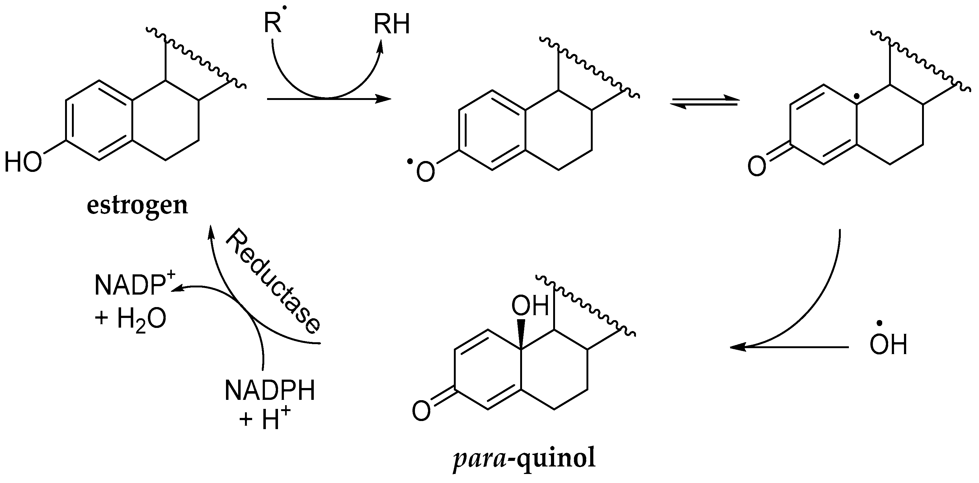 Molecules 24 04197 g002