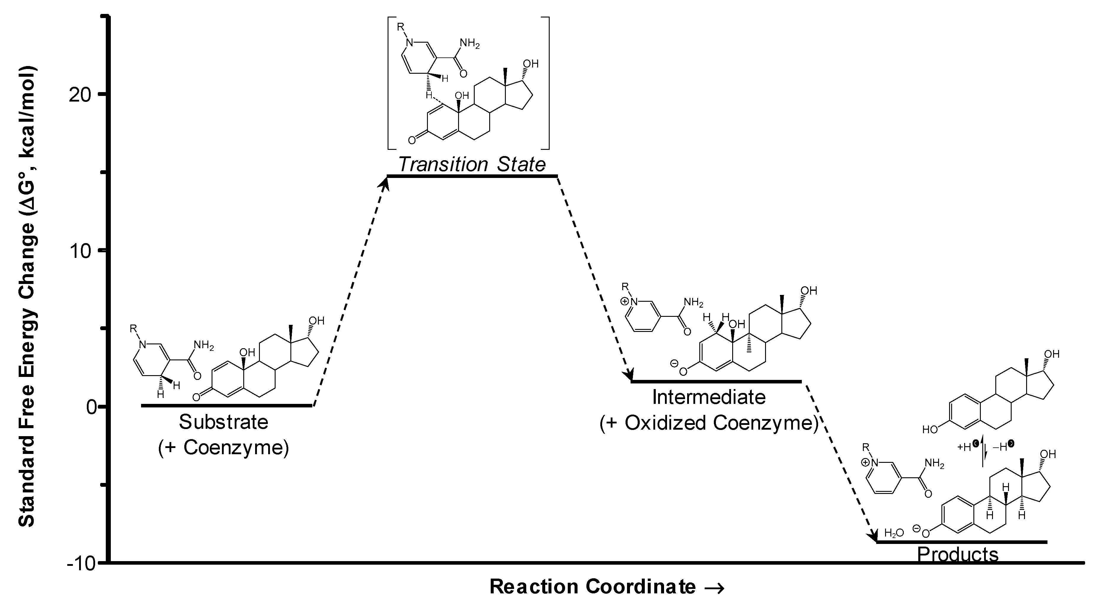 Molecules 24 04197 g004