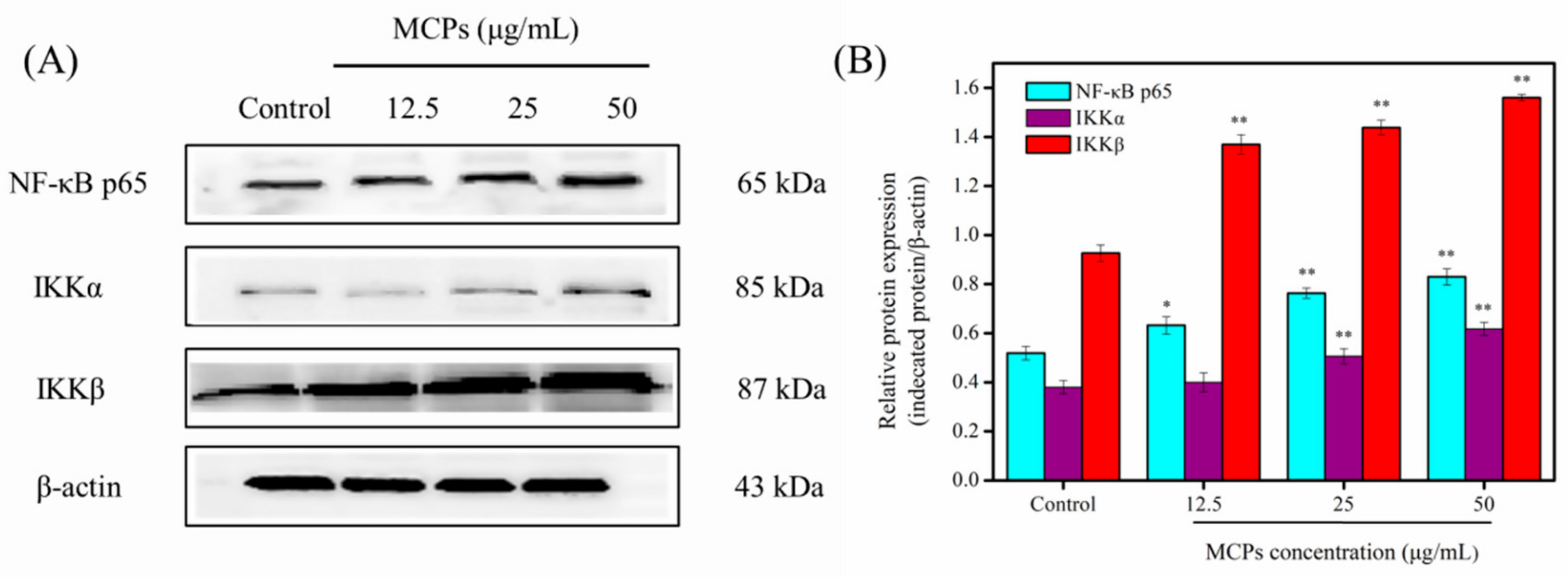 Molecules 24 04201 g006 Molecules 24 04201 g006