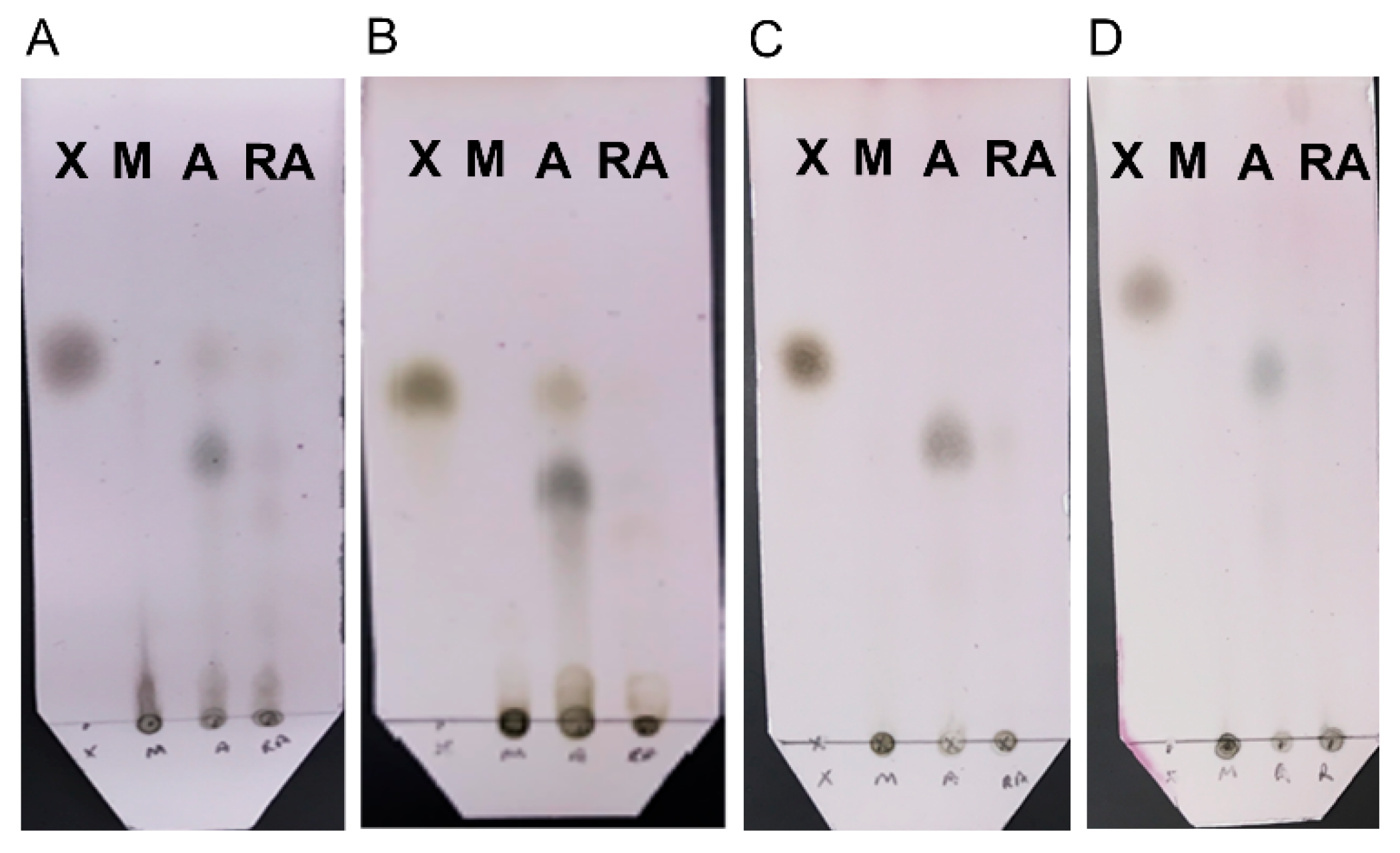 Molecules 24 04206 g006