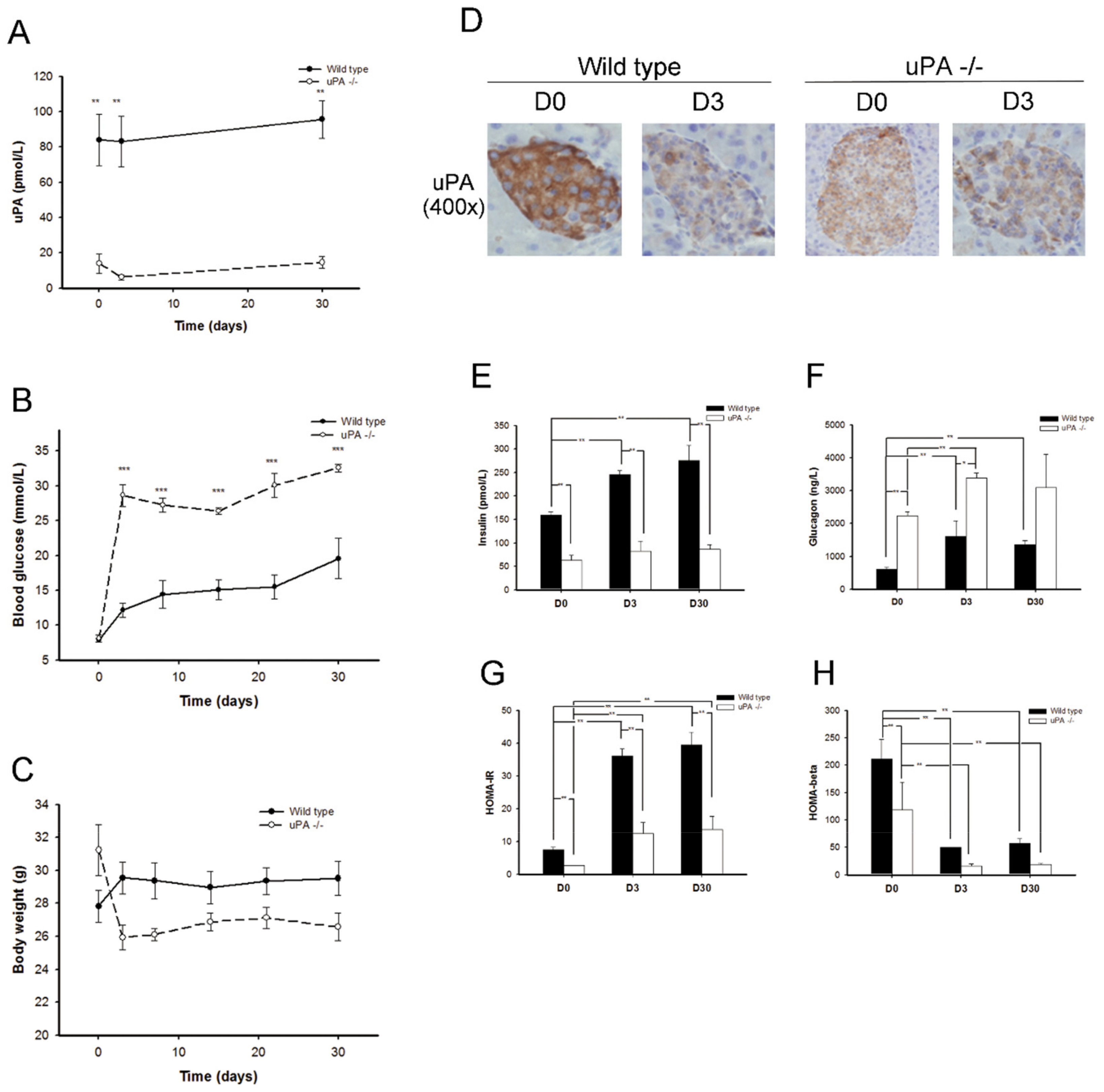 Molecules 24 04208 g001