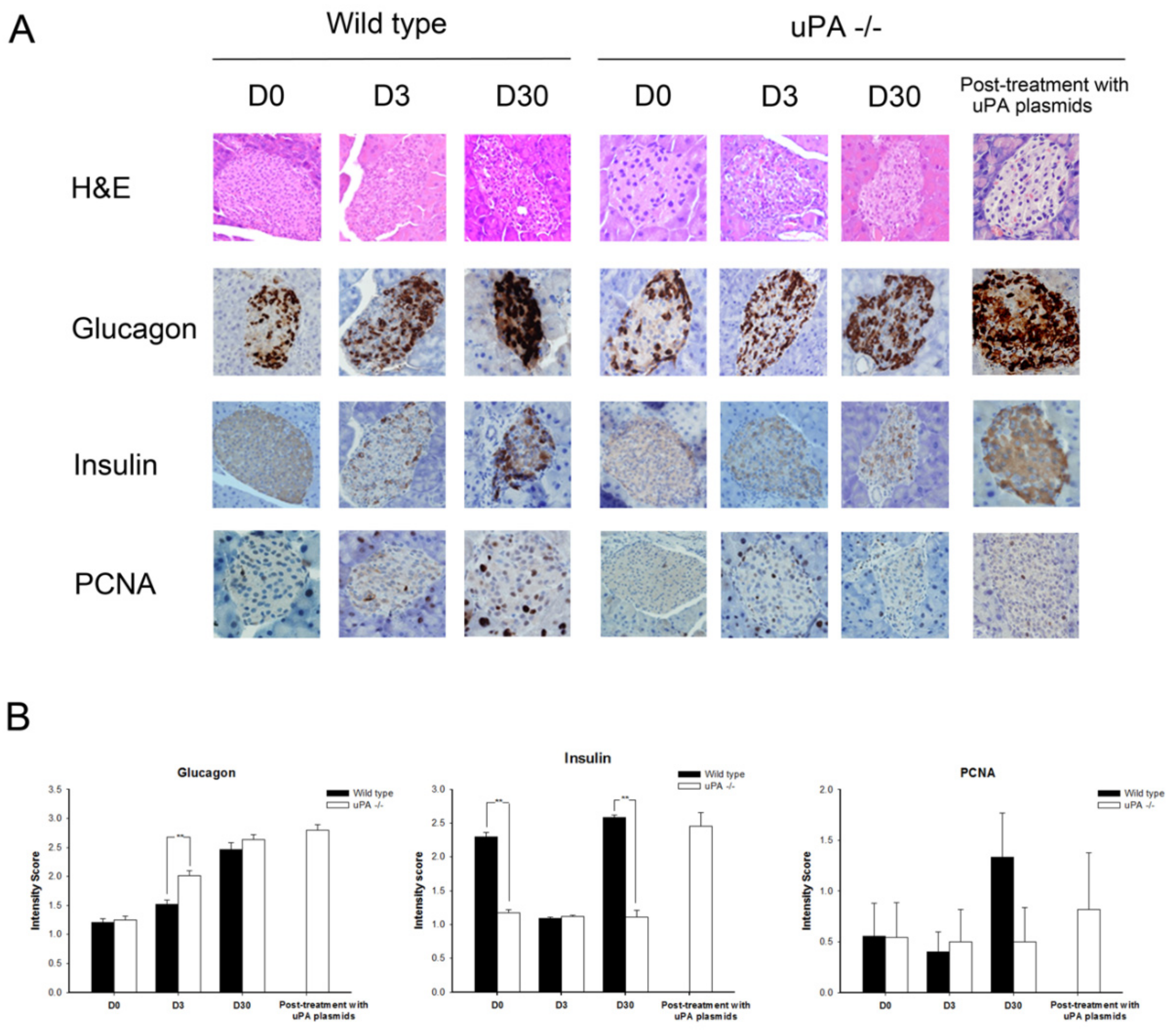 Molecules 24 04208 g002