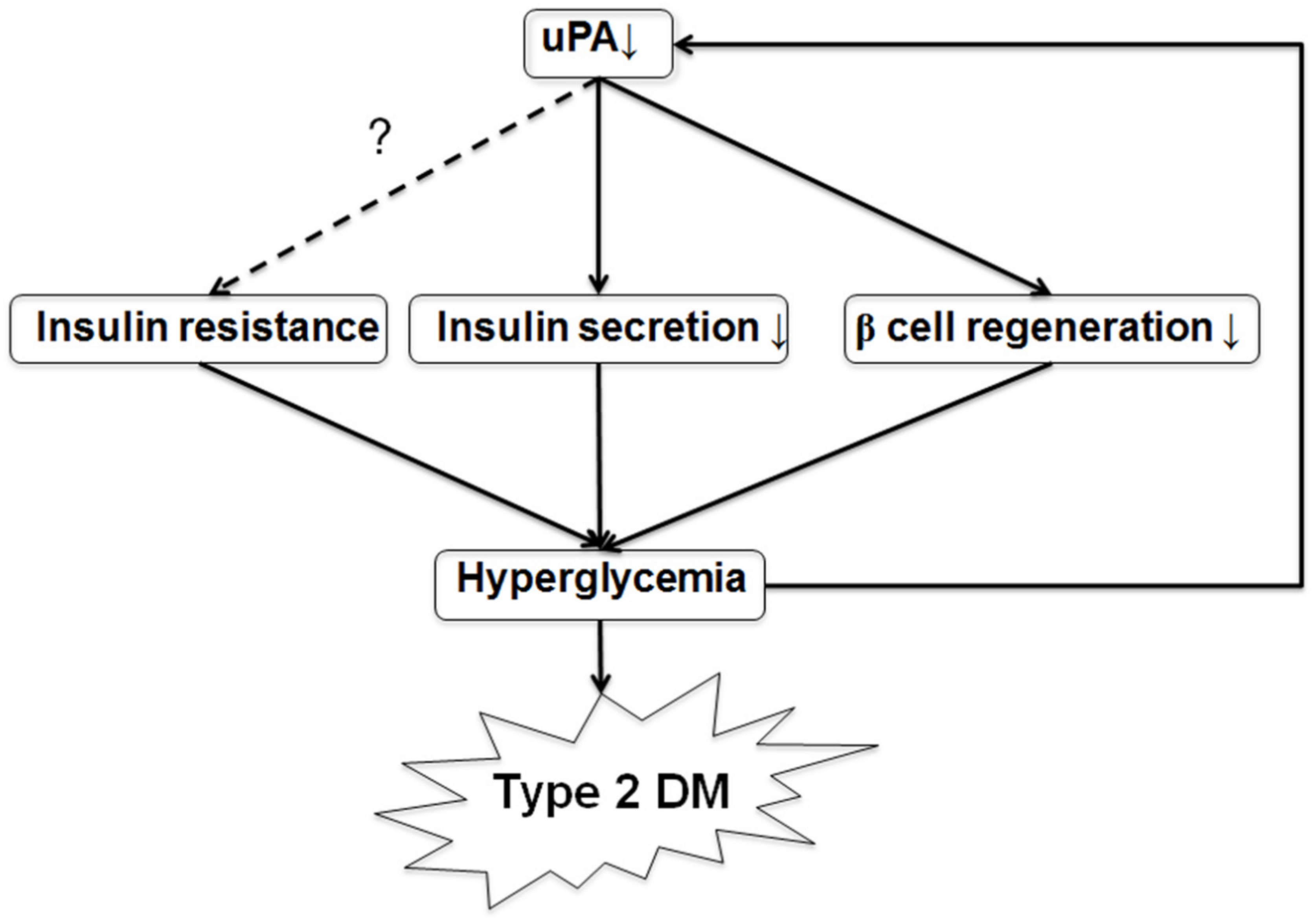 Molecules 24 04208 g007