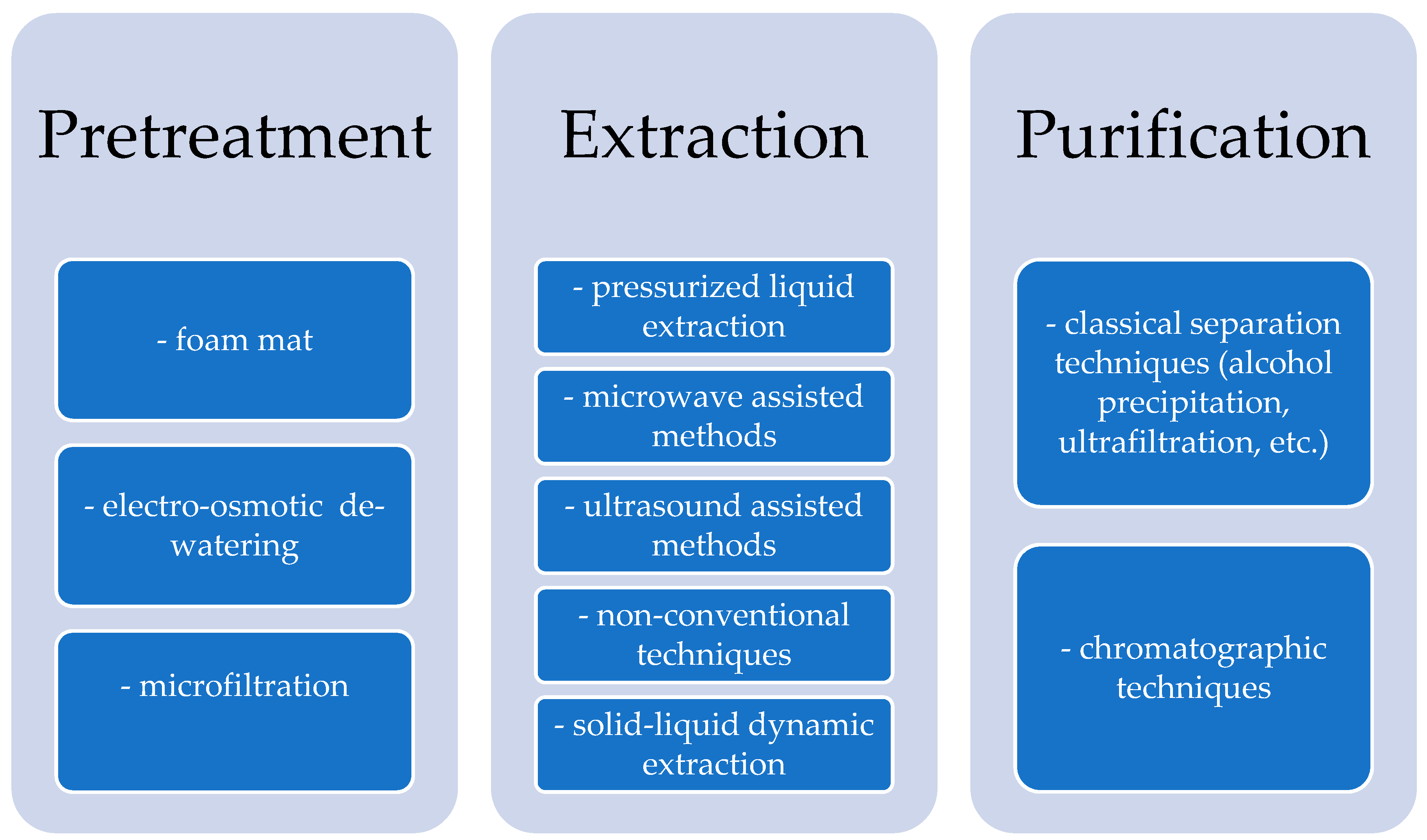 Pm Ase Organization Chart
