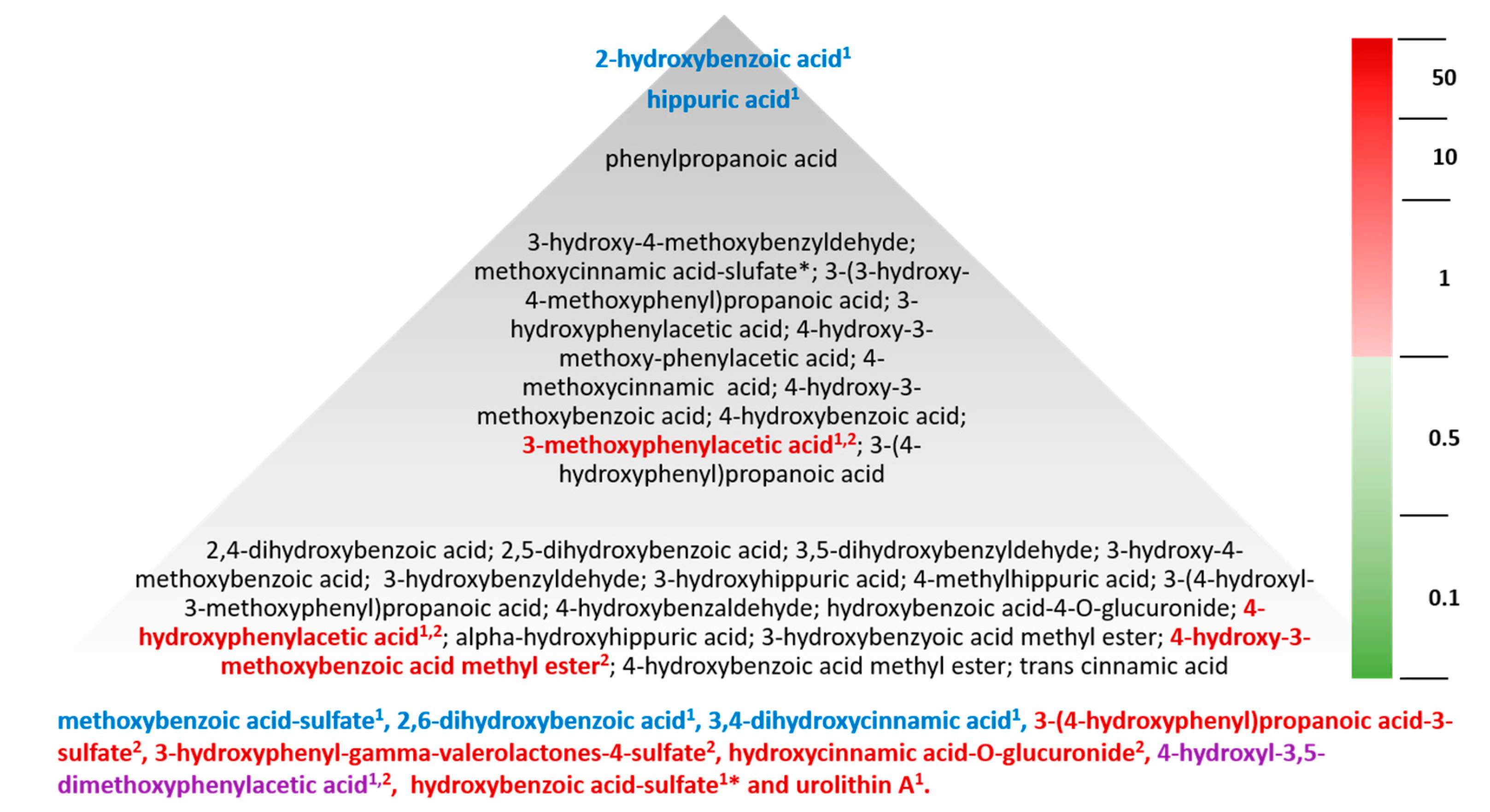 Molecules Free Full Text Contribution Of Berry Polyphenols To The Human Metabolome Html Molecules Free Full Text Contribution Of Berry Polyphenols To The Human Metabolome Html