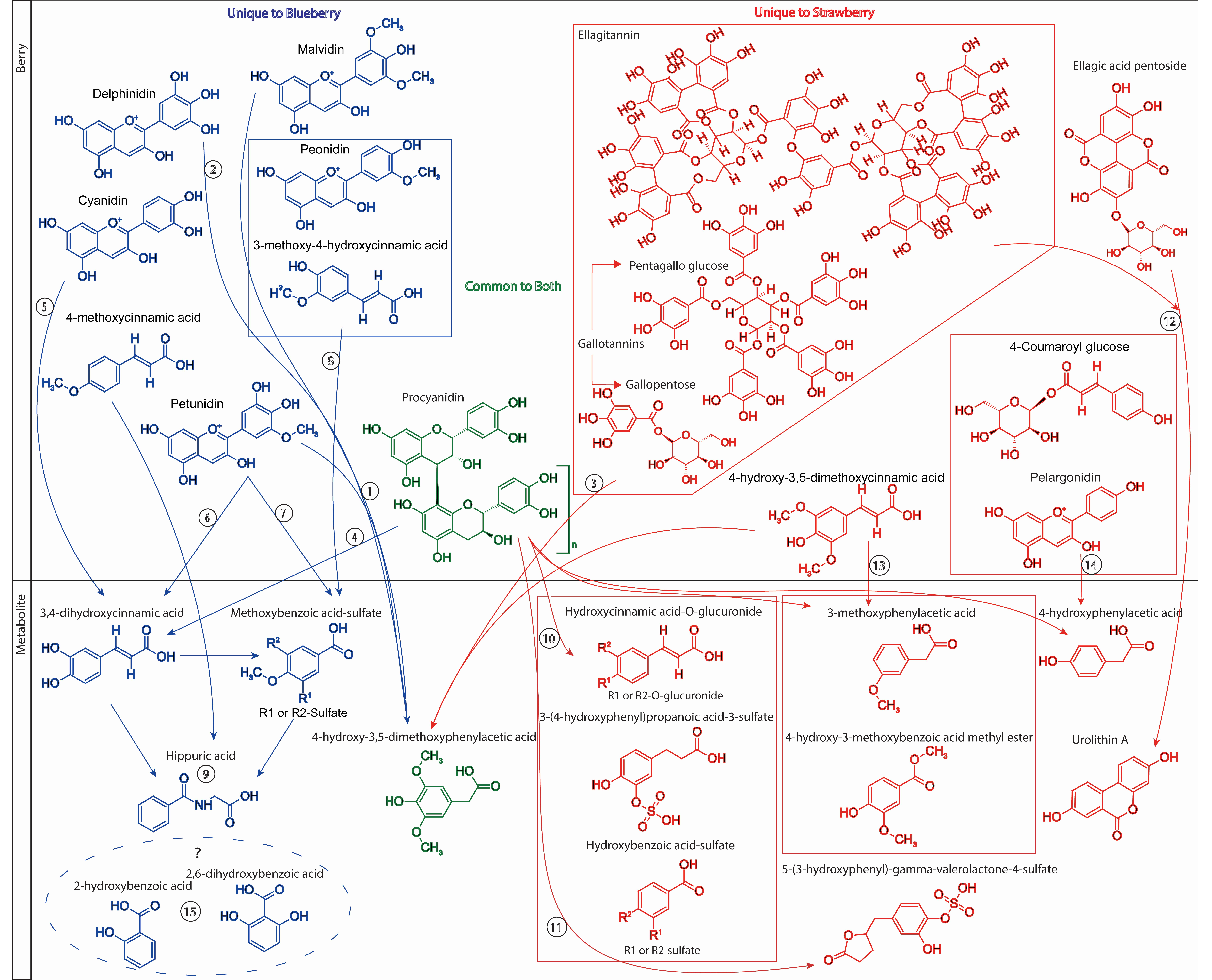 Molecules 24 04220 g007