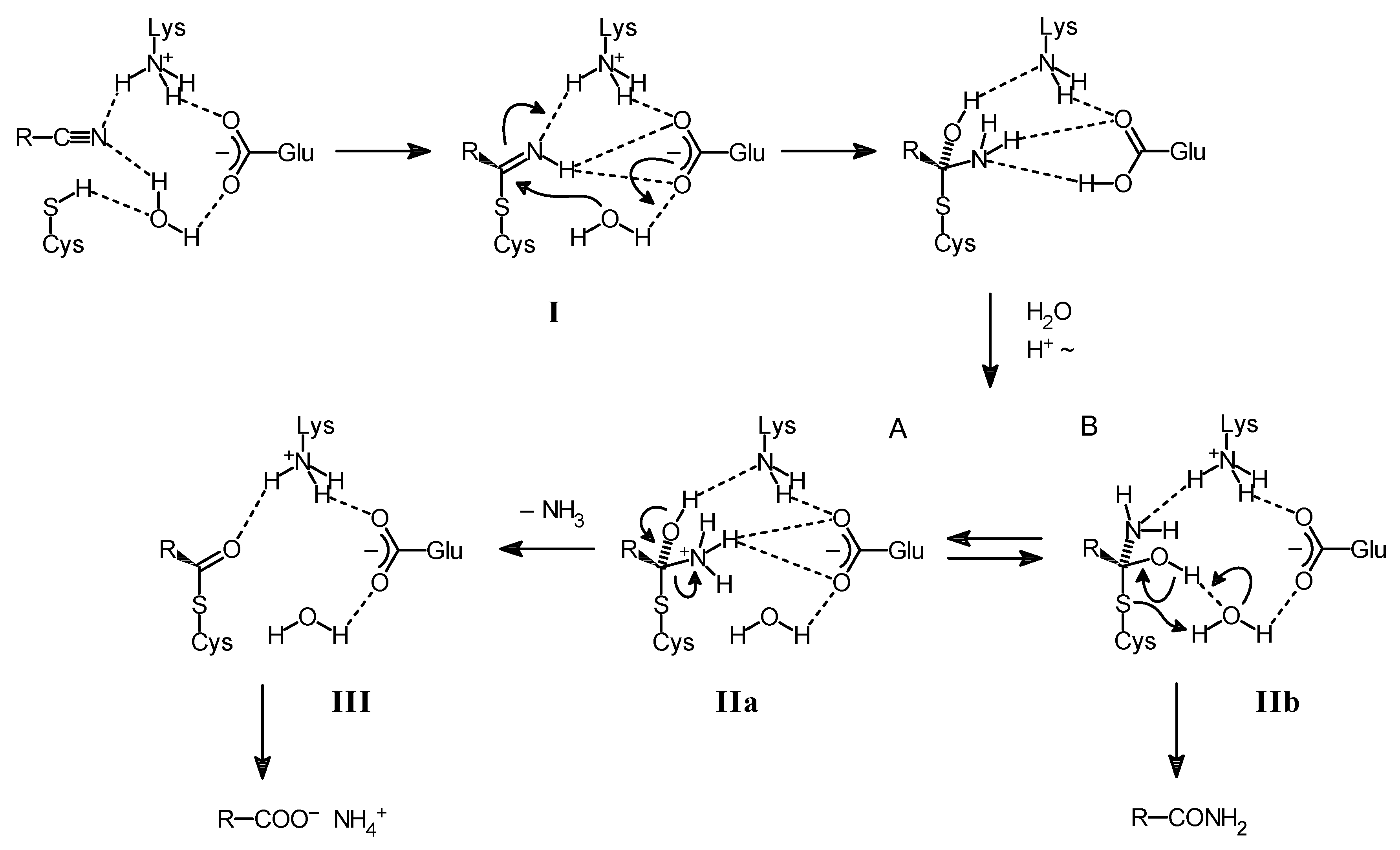 Molecules 24 04232 g002