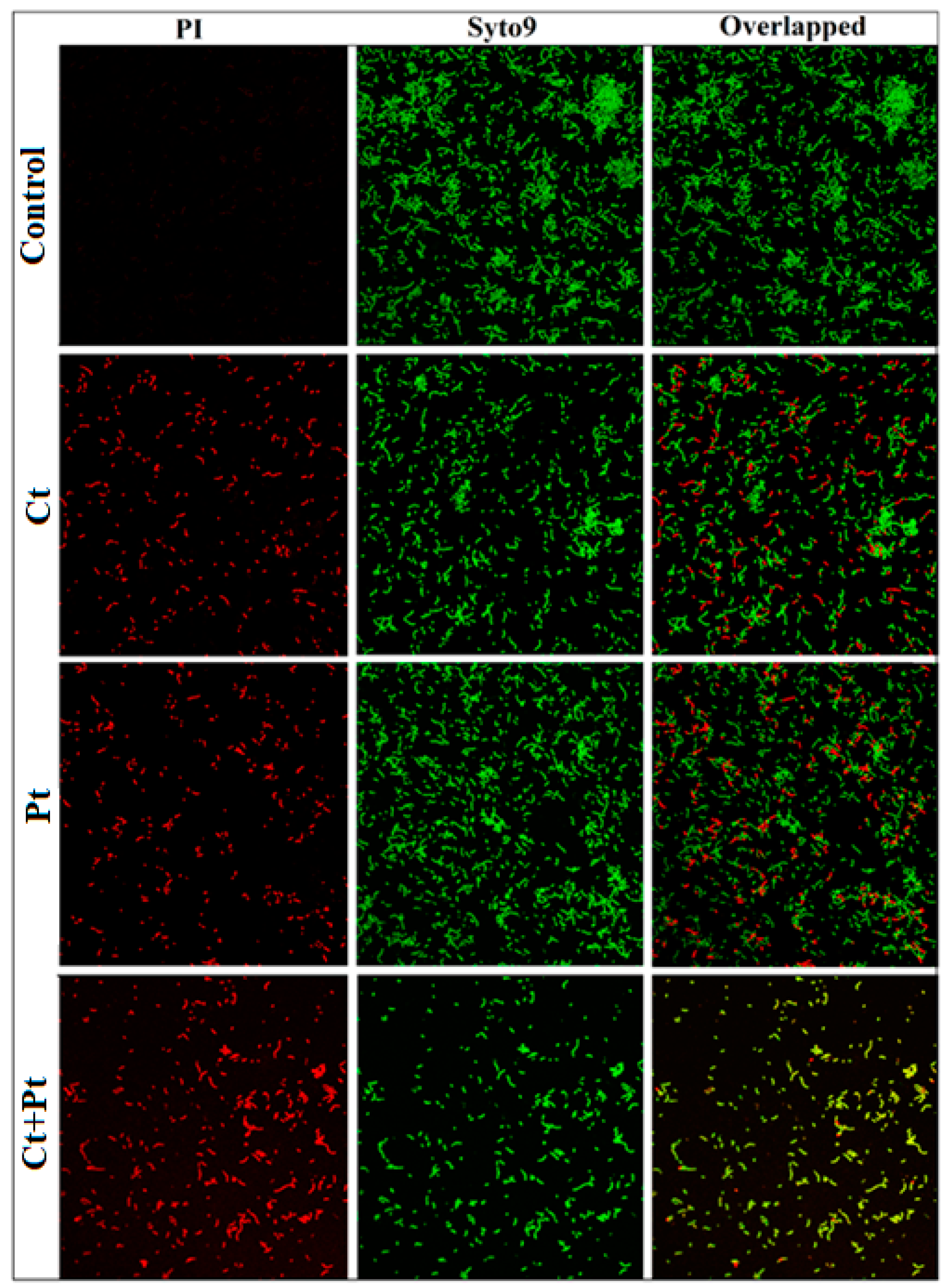 Molecules 24 04237 g006 Molecules 24 04237 g006