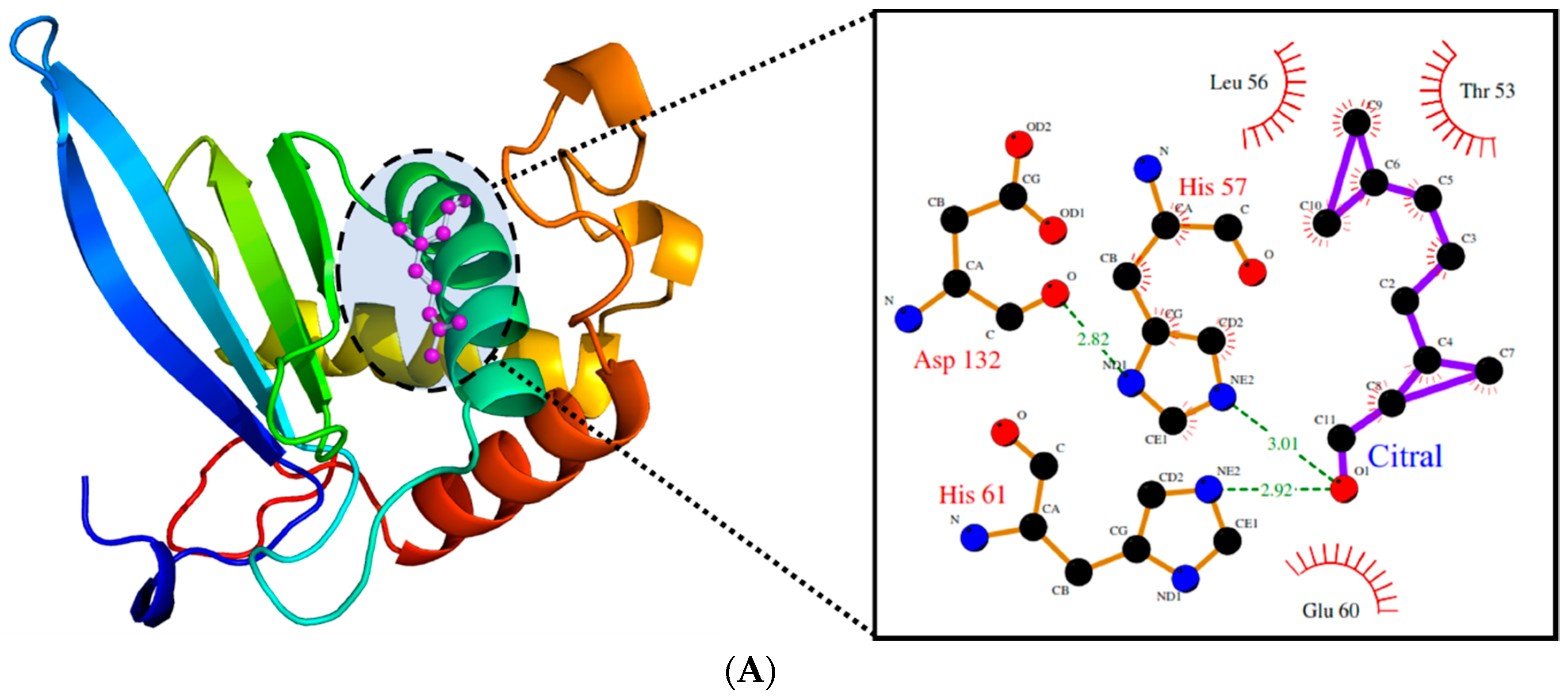Molecules 24 04237 g009a Molecules 24 04237 g009a