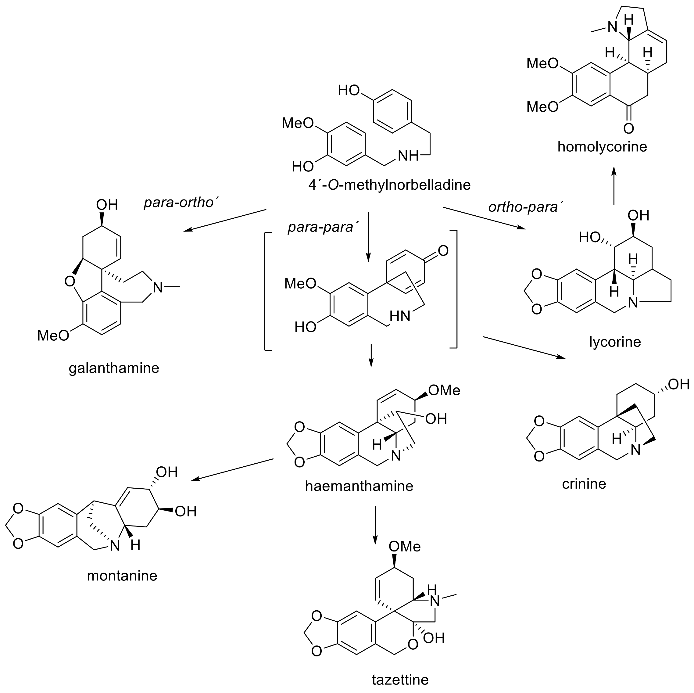 Molecules 24 04238 g001 Molecules 24 04238 g001