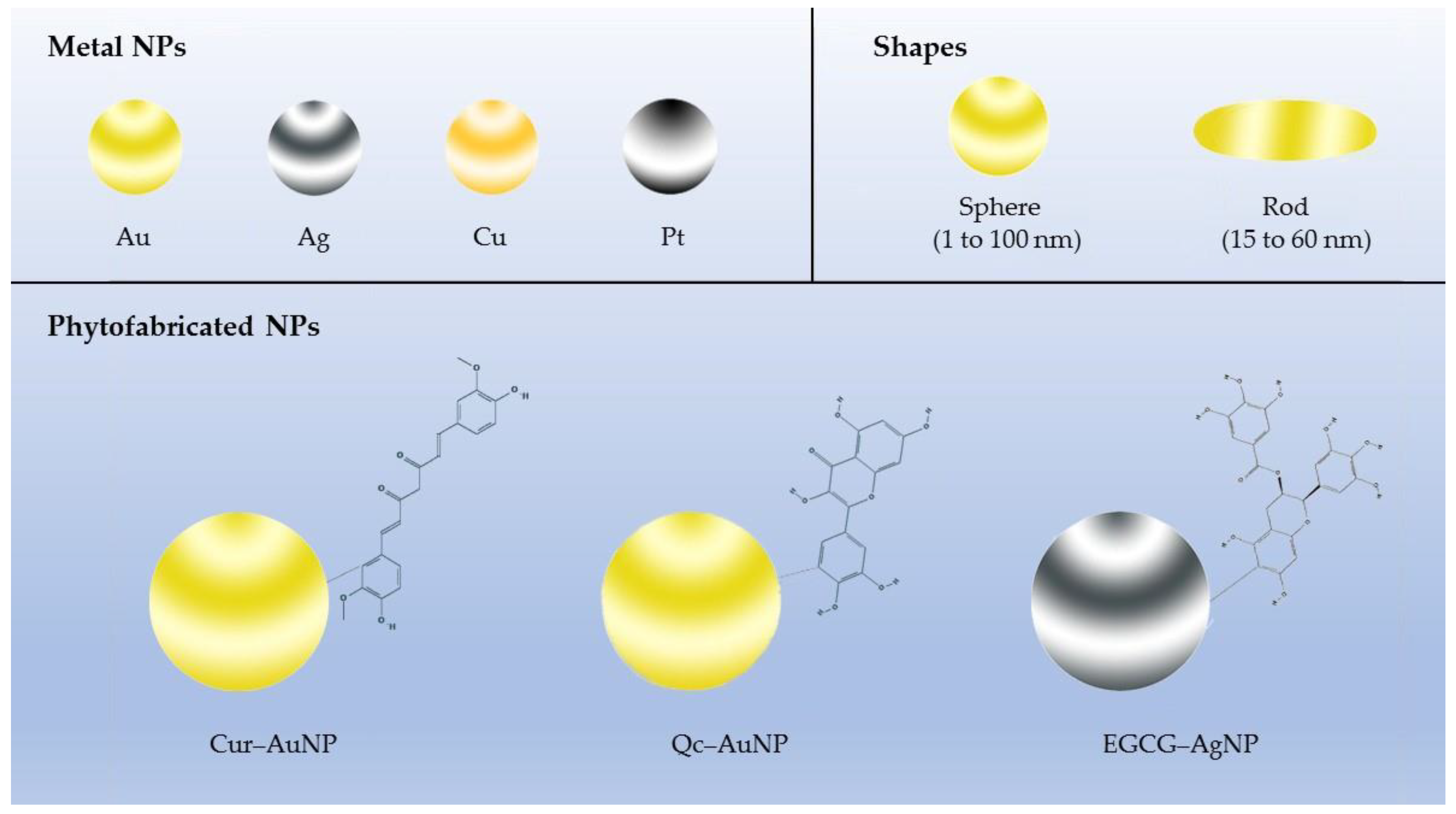 Molecules 24 04246 g001