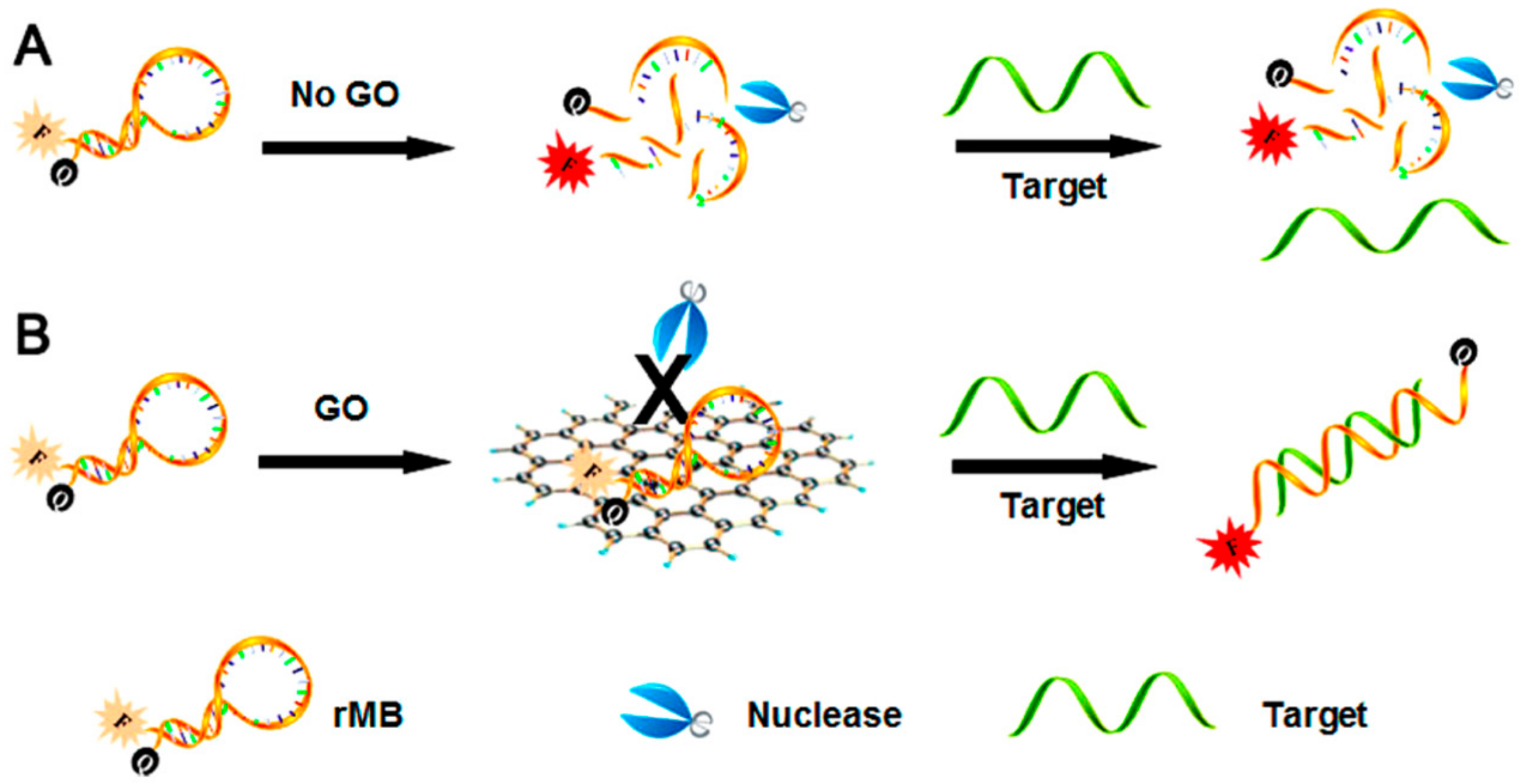 Molecules 24 04247 g007