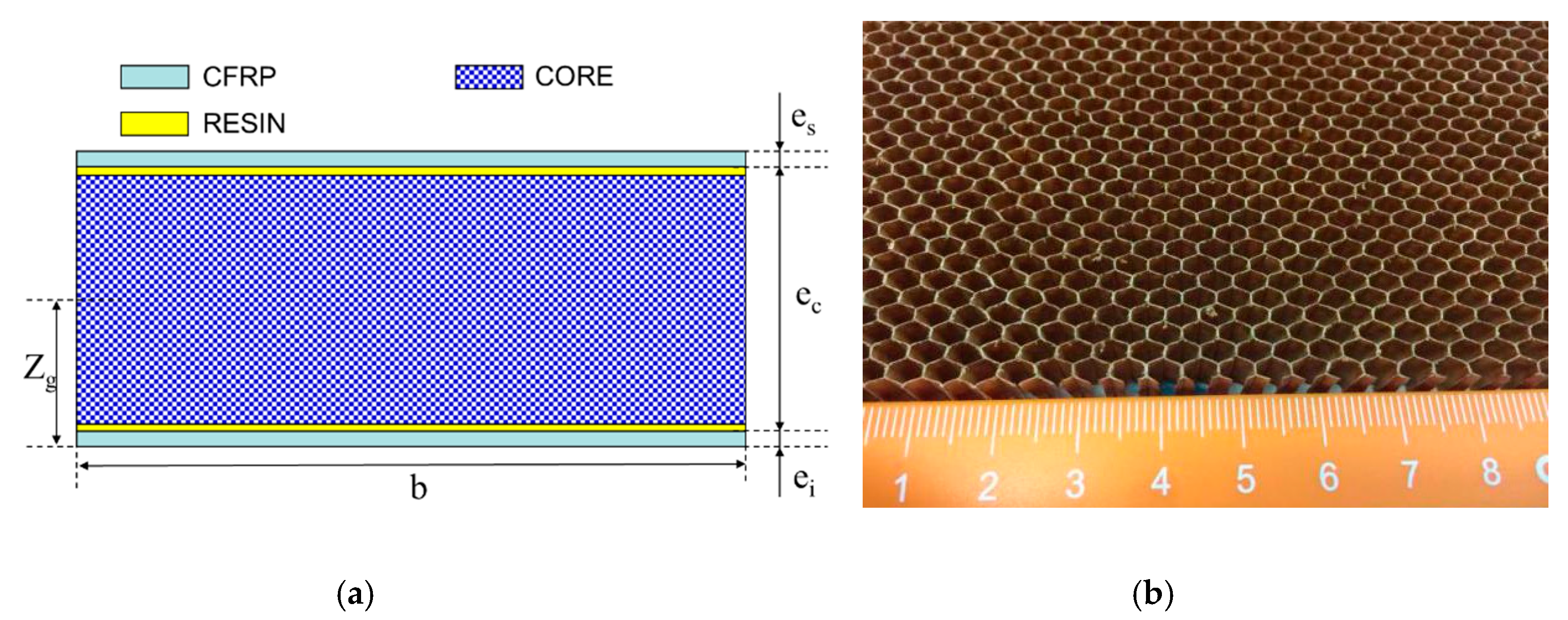 Molecules 24 04248 g001 550