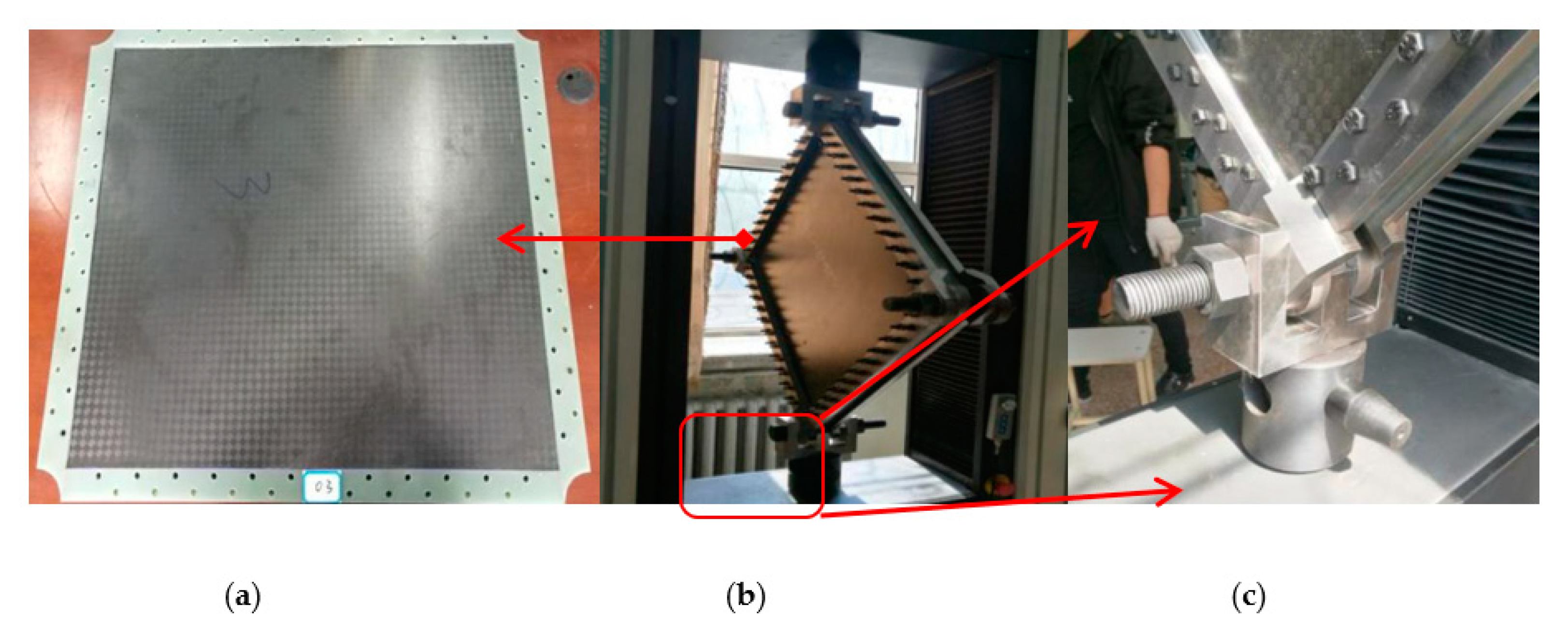 Molecules 24 04248 g003 550