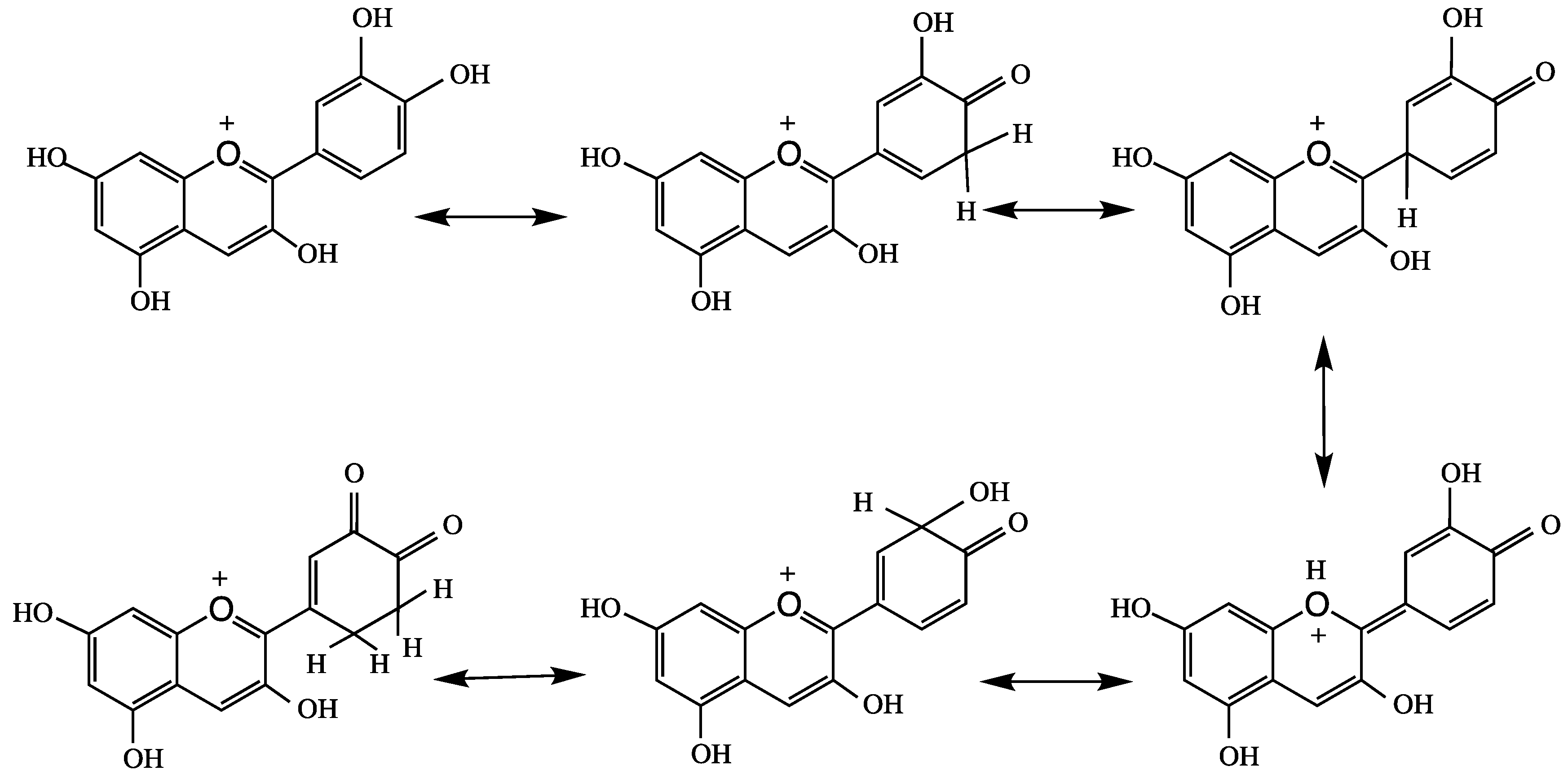 Molecules 24 04255 g004