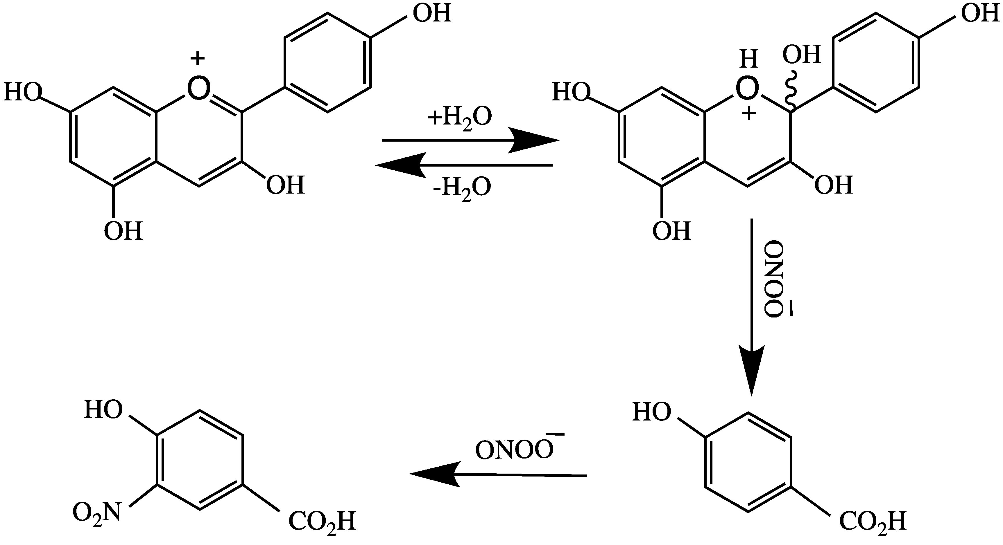 Molecules 24 04255 g005