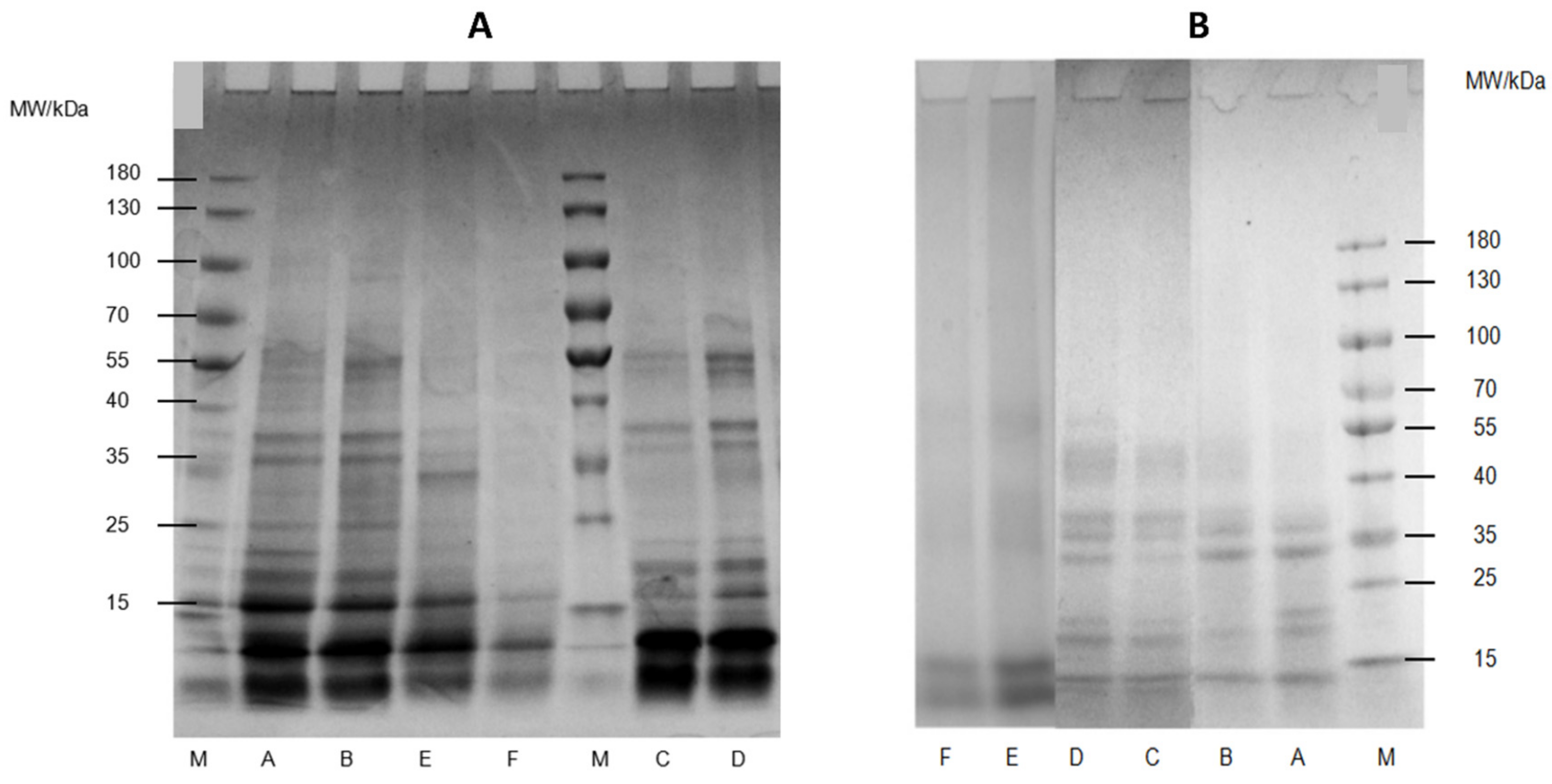 Molecules 24 04260 g003 Molecules 24 04260 g003