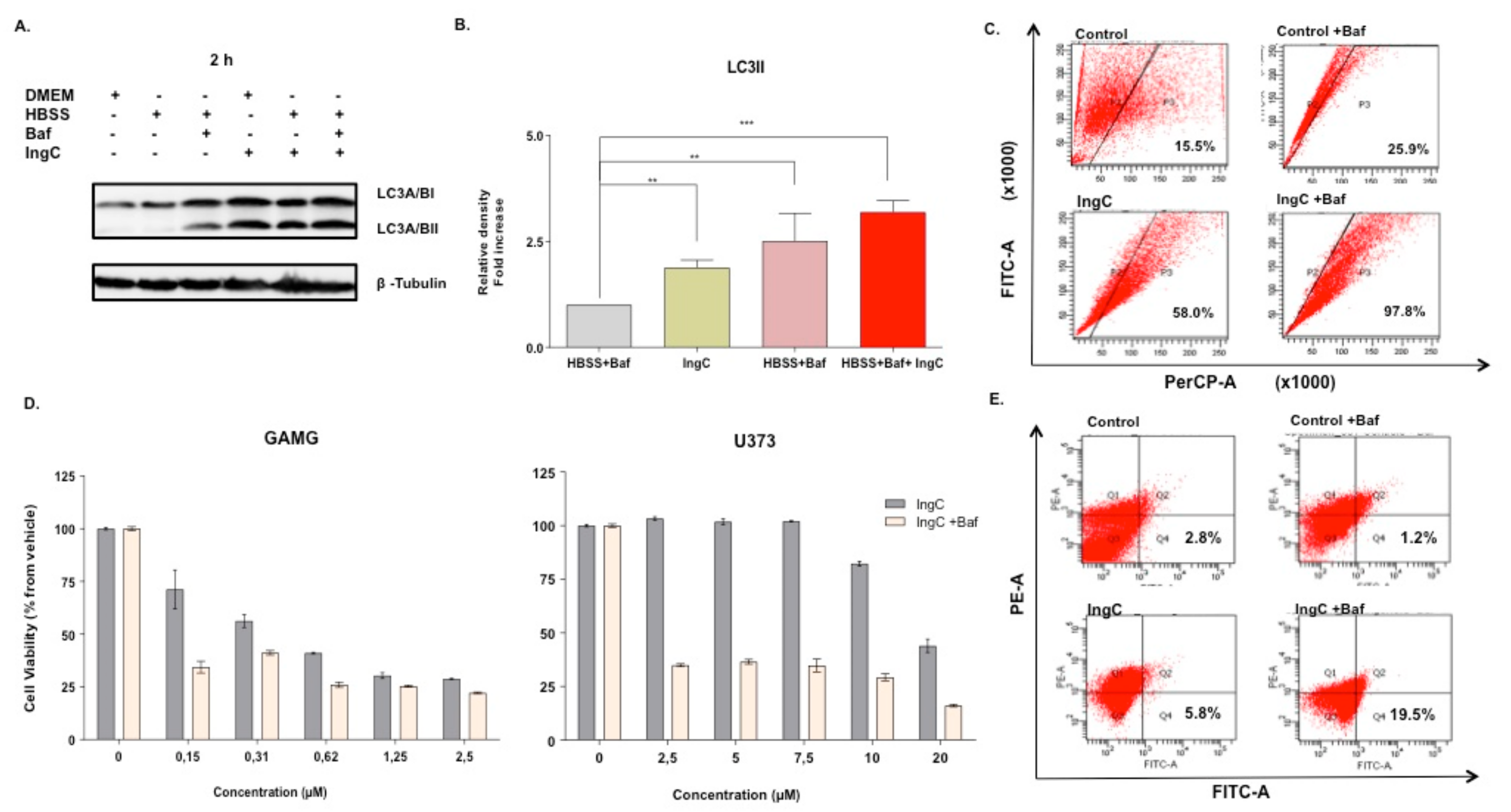 Molecules 24 04265 g005