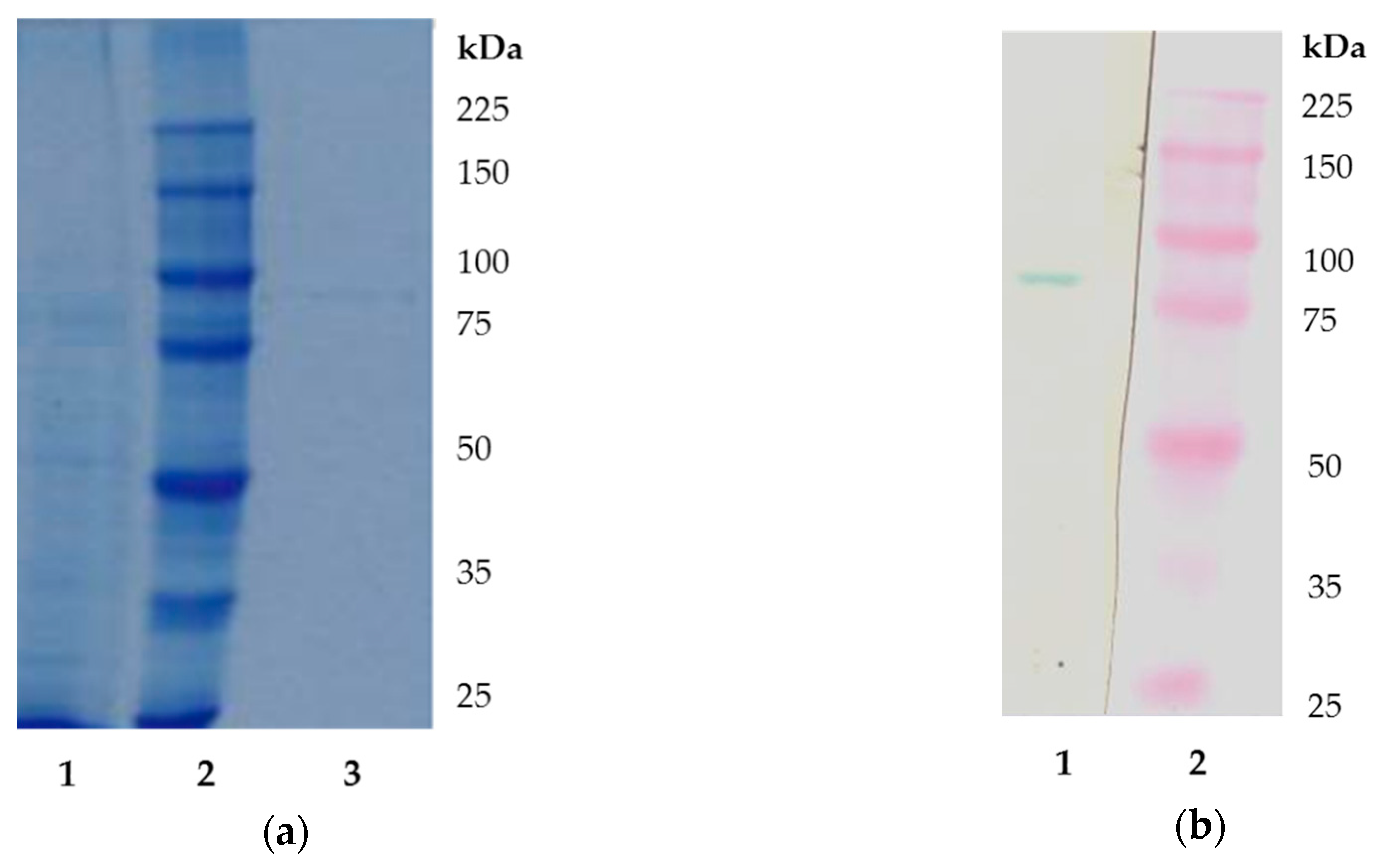 Molecules 24 04268 g003 Molecules 24 04268 g003