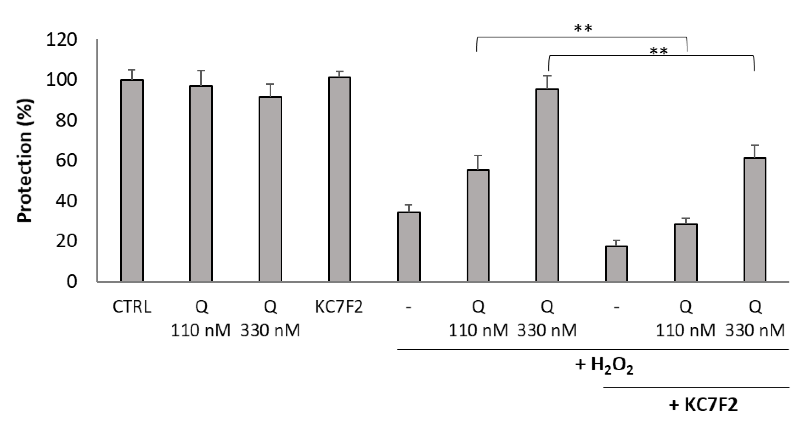 Molecules 24 04269 g006