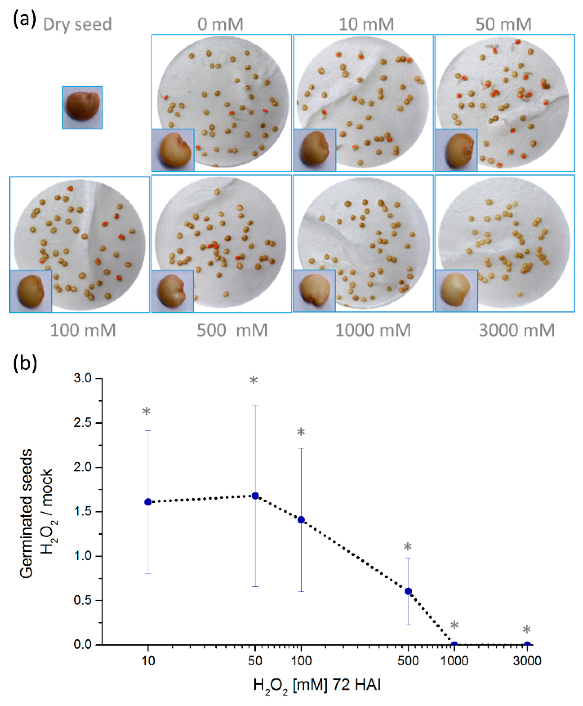 Molecules 24 04270 g001