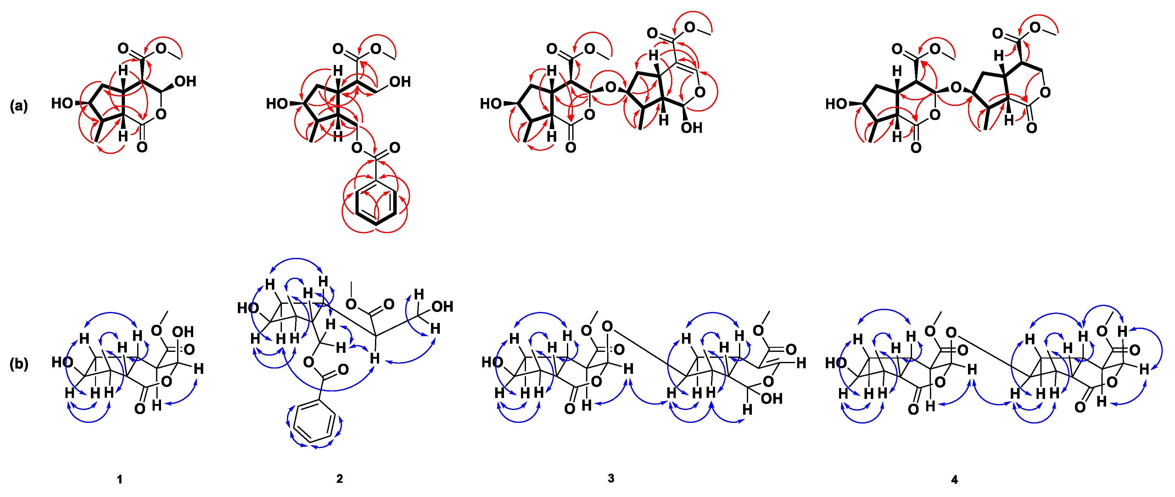Molecules 24 04271 g002 Molecules 24 04271 g002