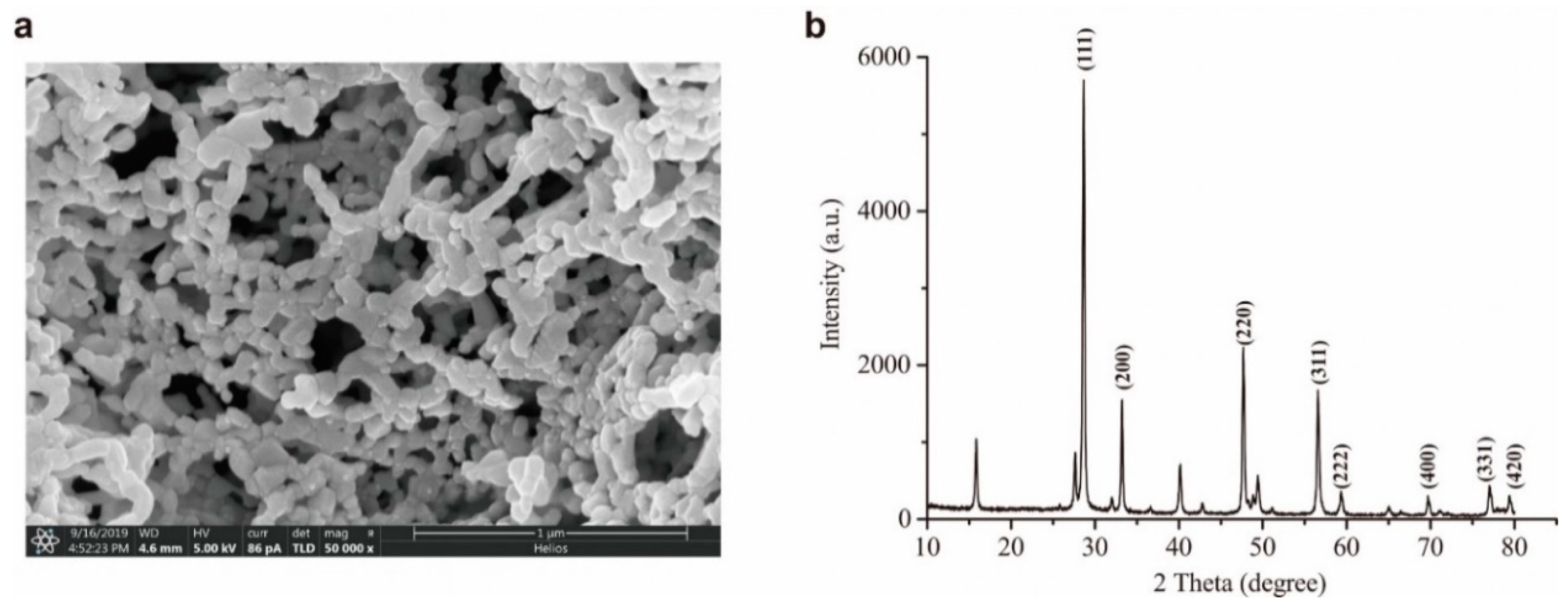 Molecules 24 04275 g001