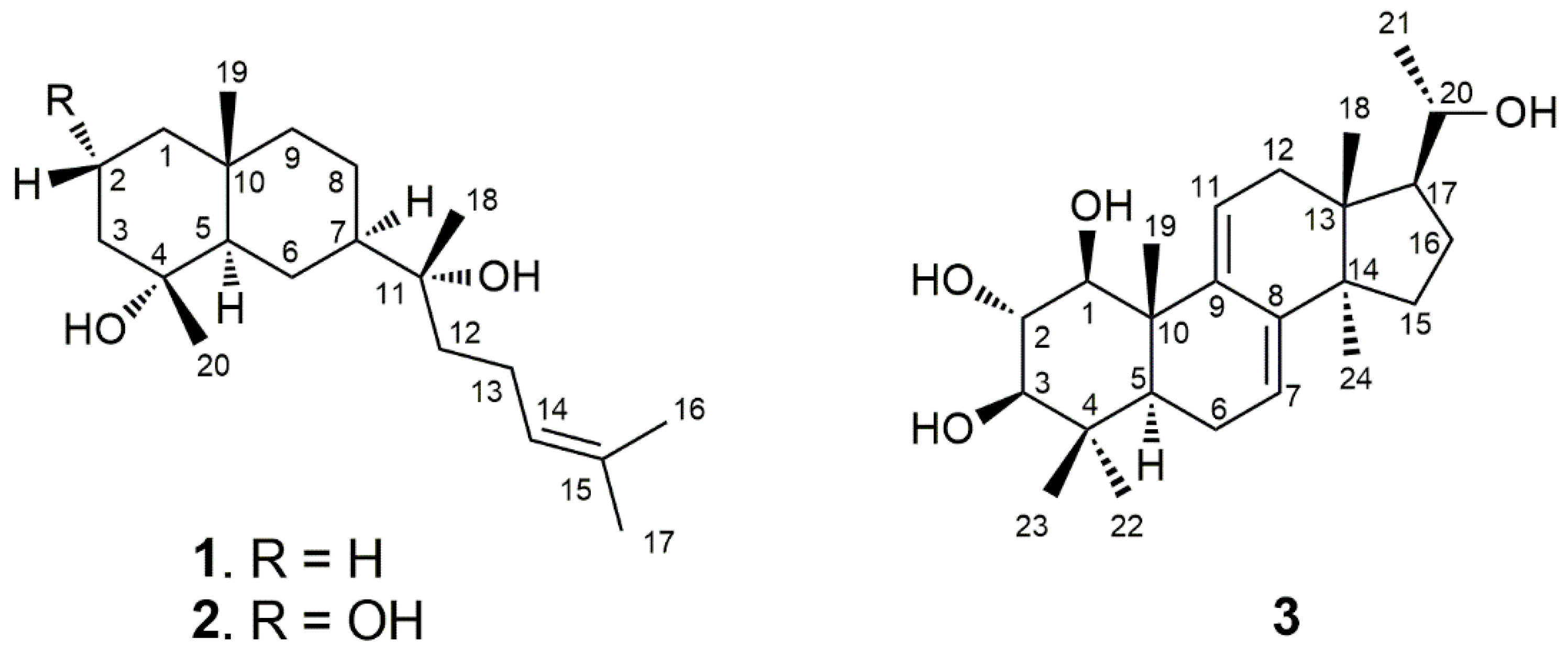 Molecules 24 04276 g001